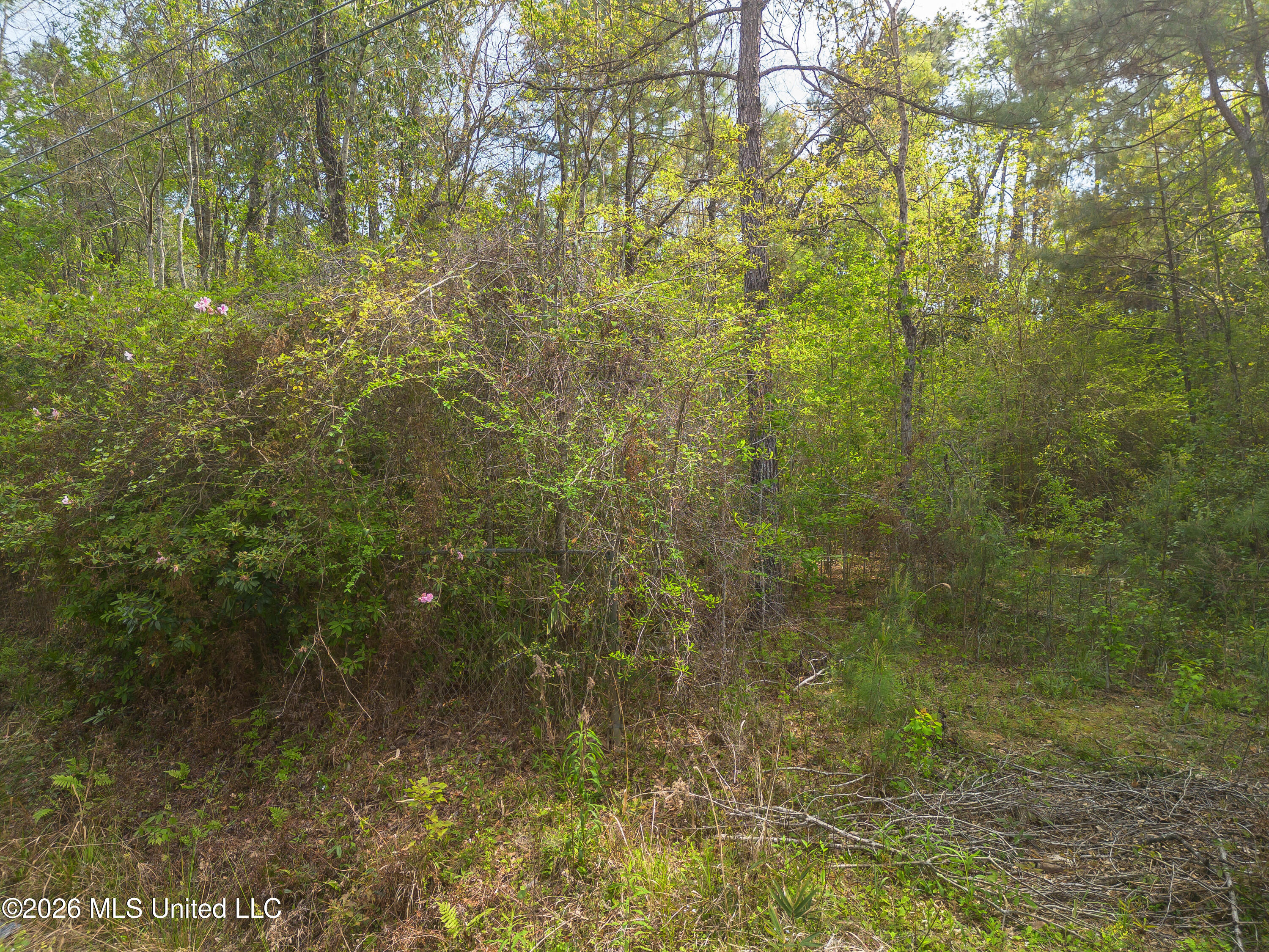 13264 River Road Property Photo 4