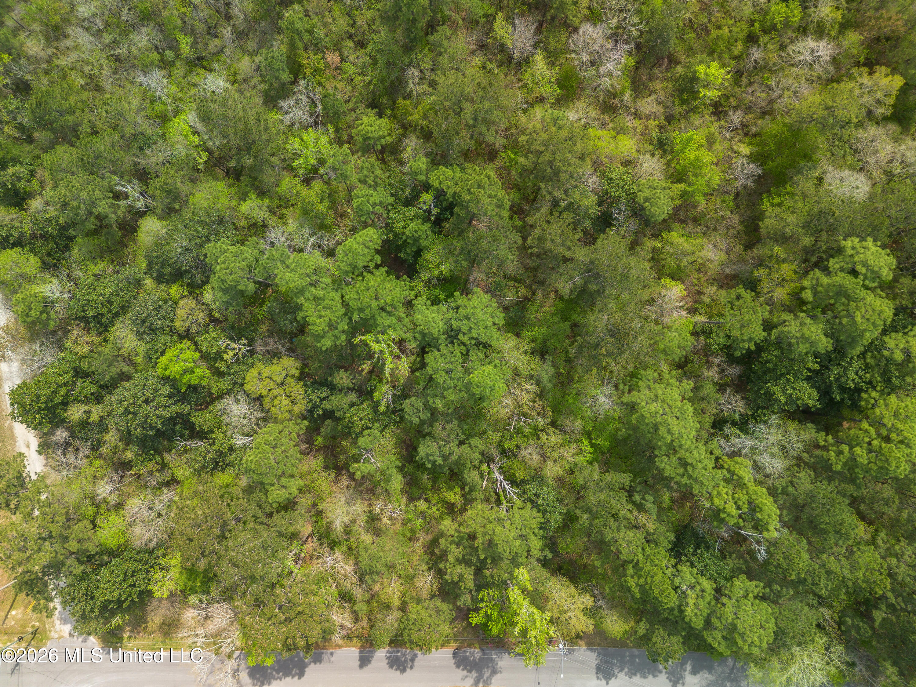 13264 River Road Property Photo 7