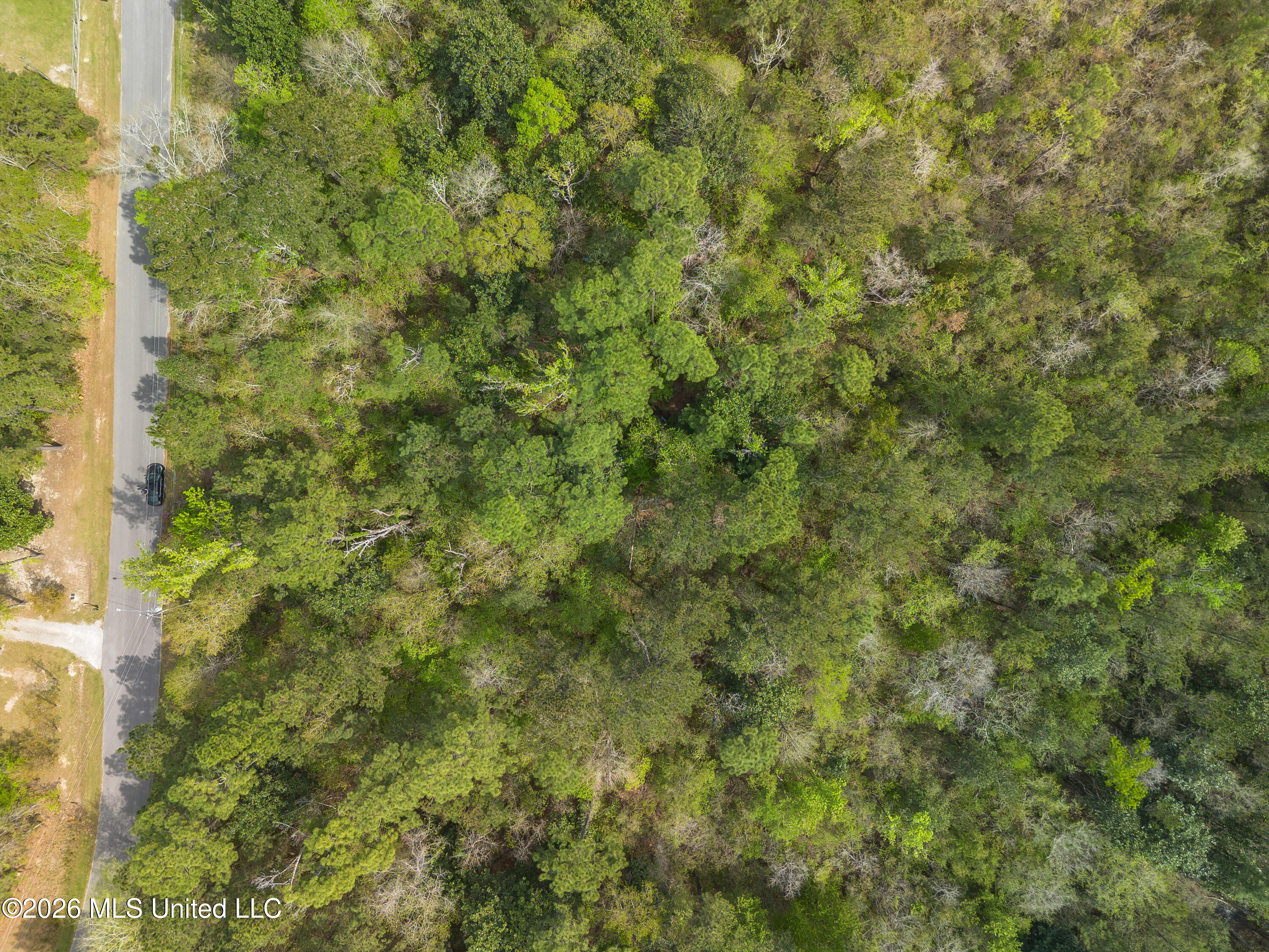 13264 River Road Property Photo 8