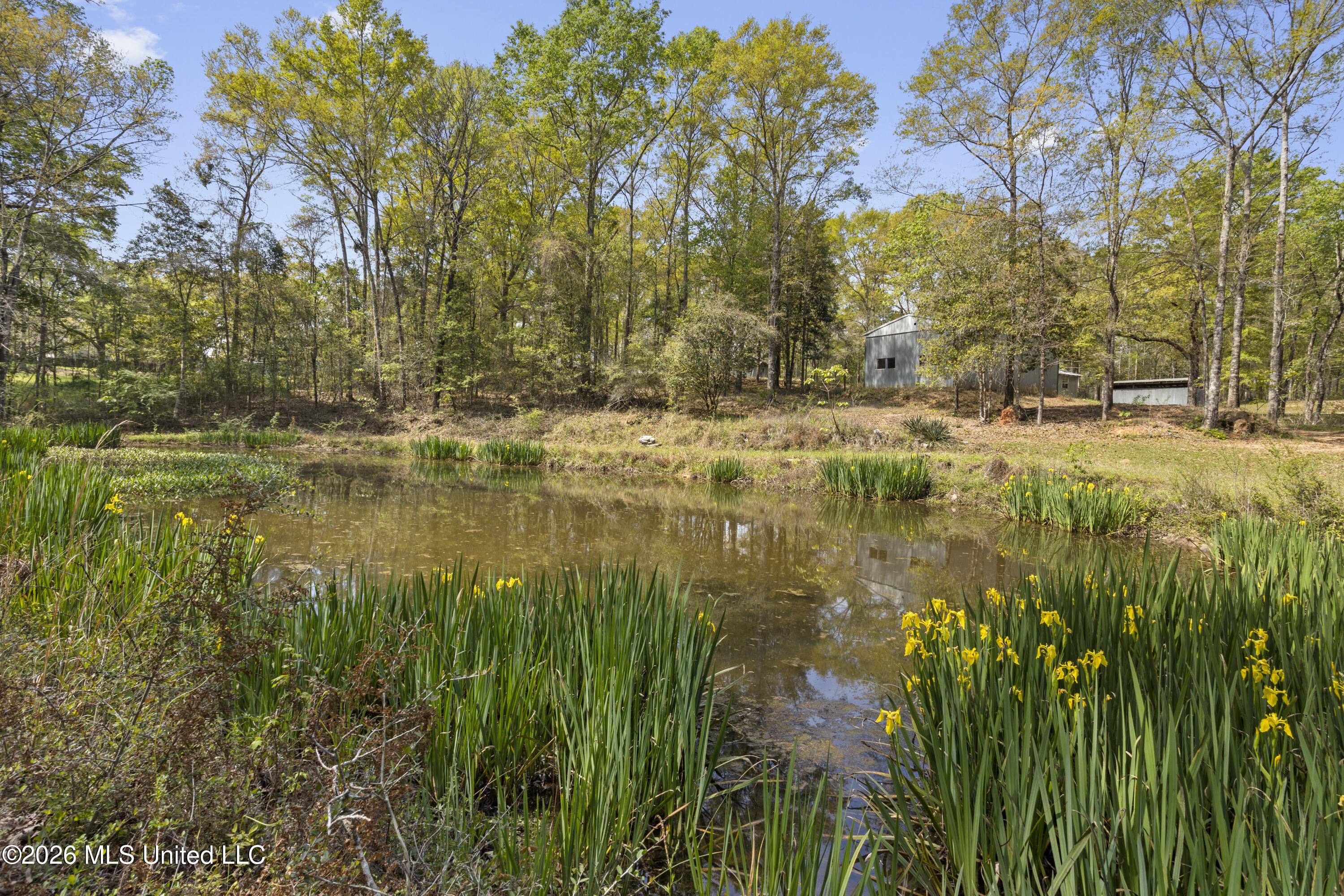 20 Redbird Road Property Photo 4