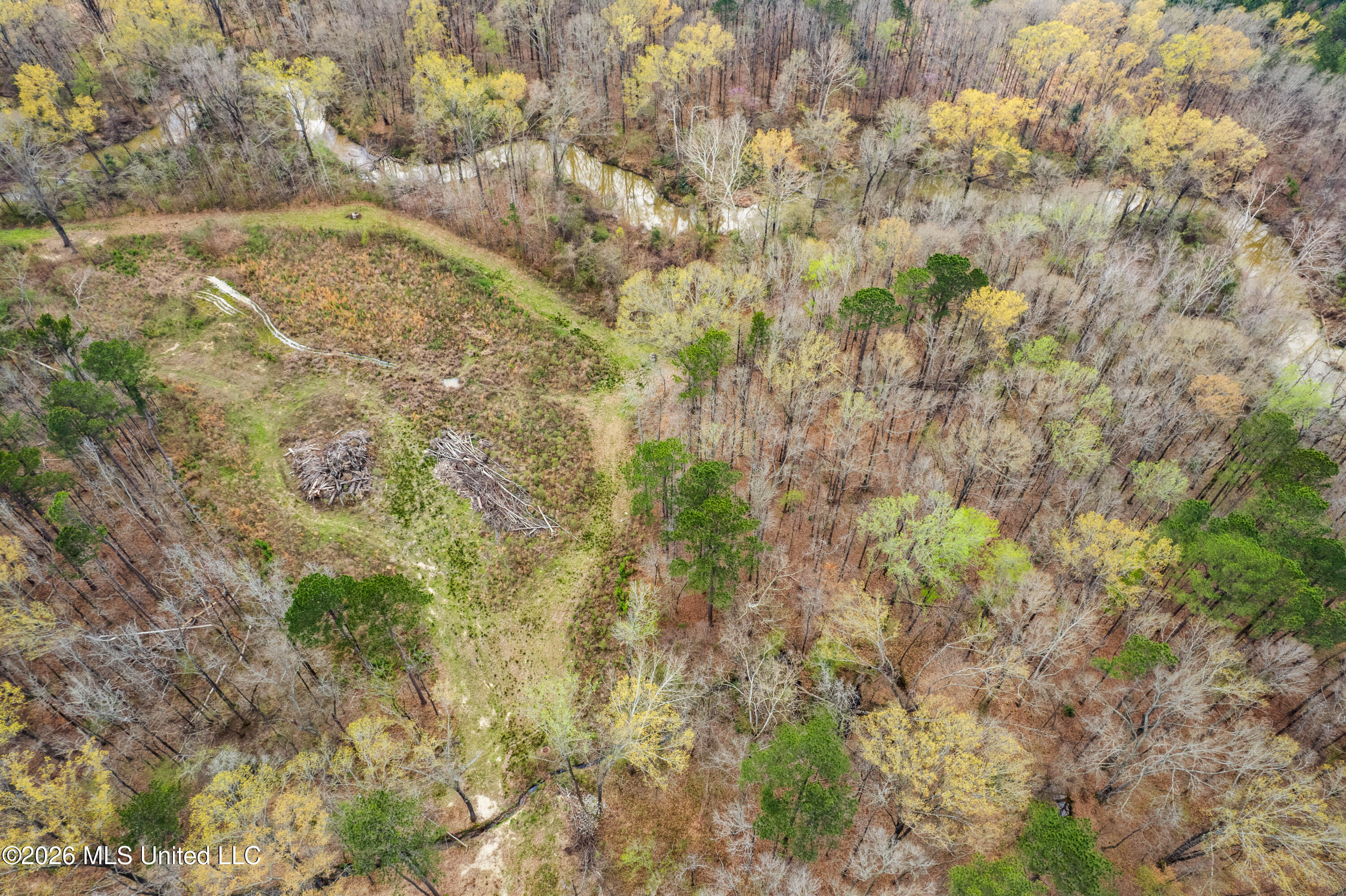 Brookhollow Lot 7 Court Property Photo 5