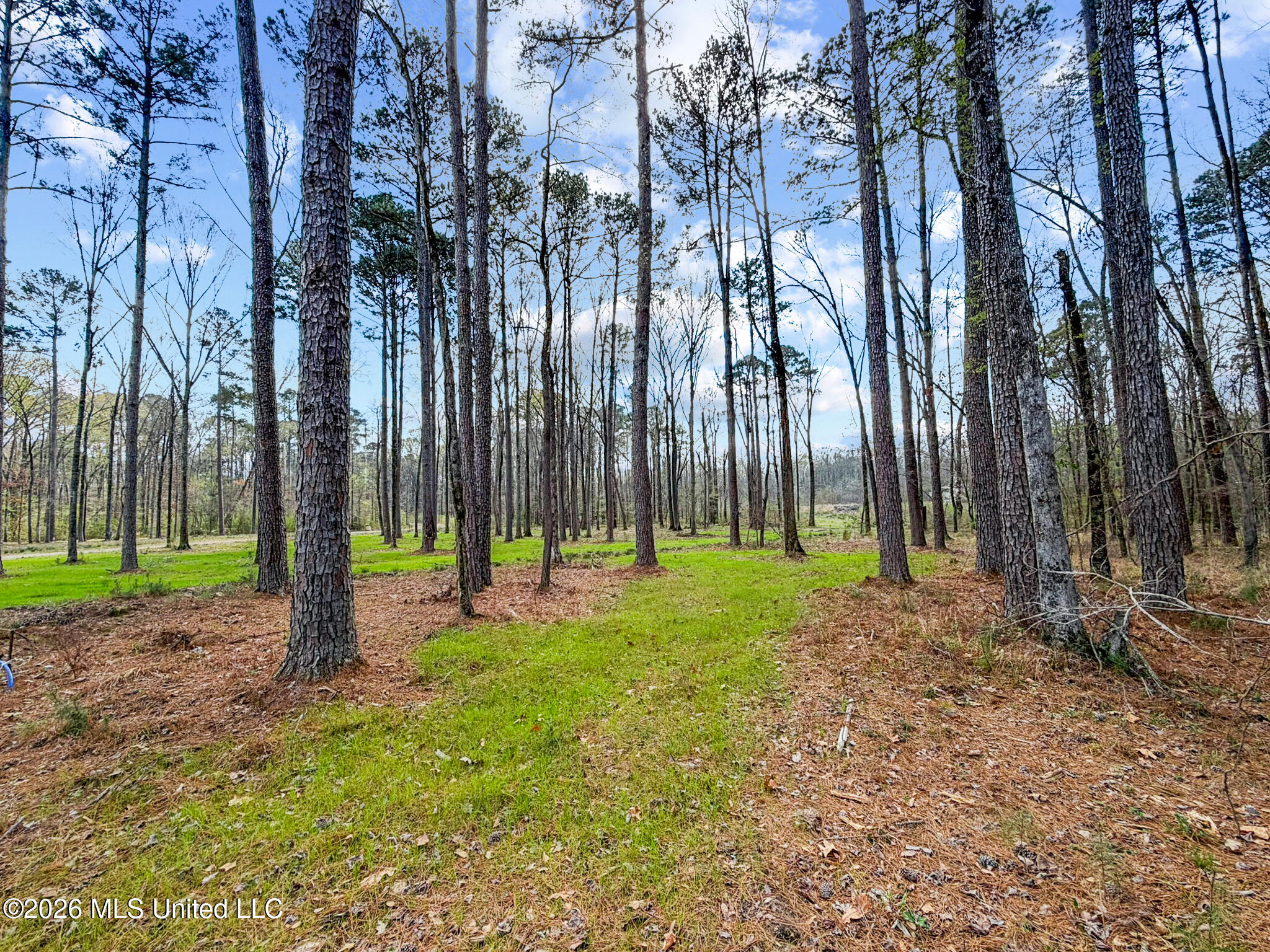 Brookhollow Lot 7 Court Property Photo 8