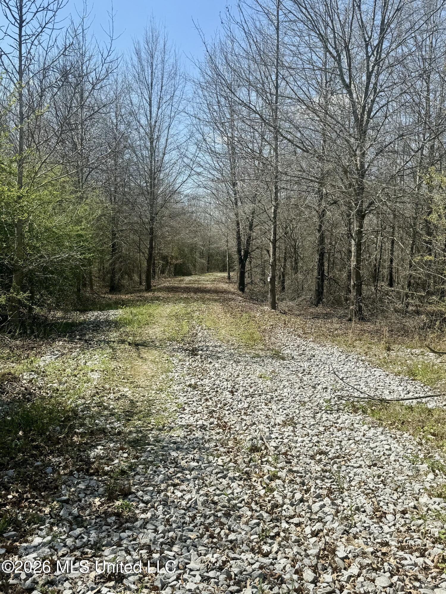 Mississippi 35 Highway Property Photo 2