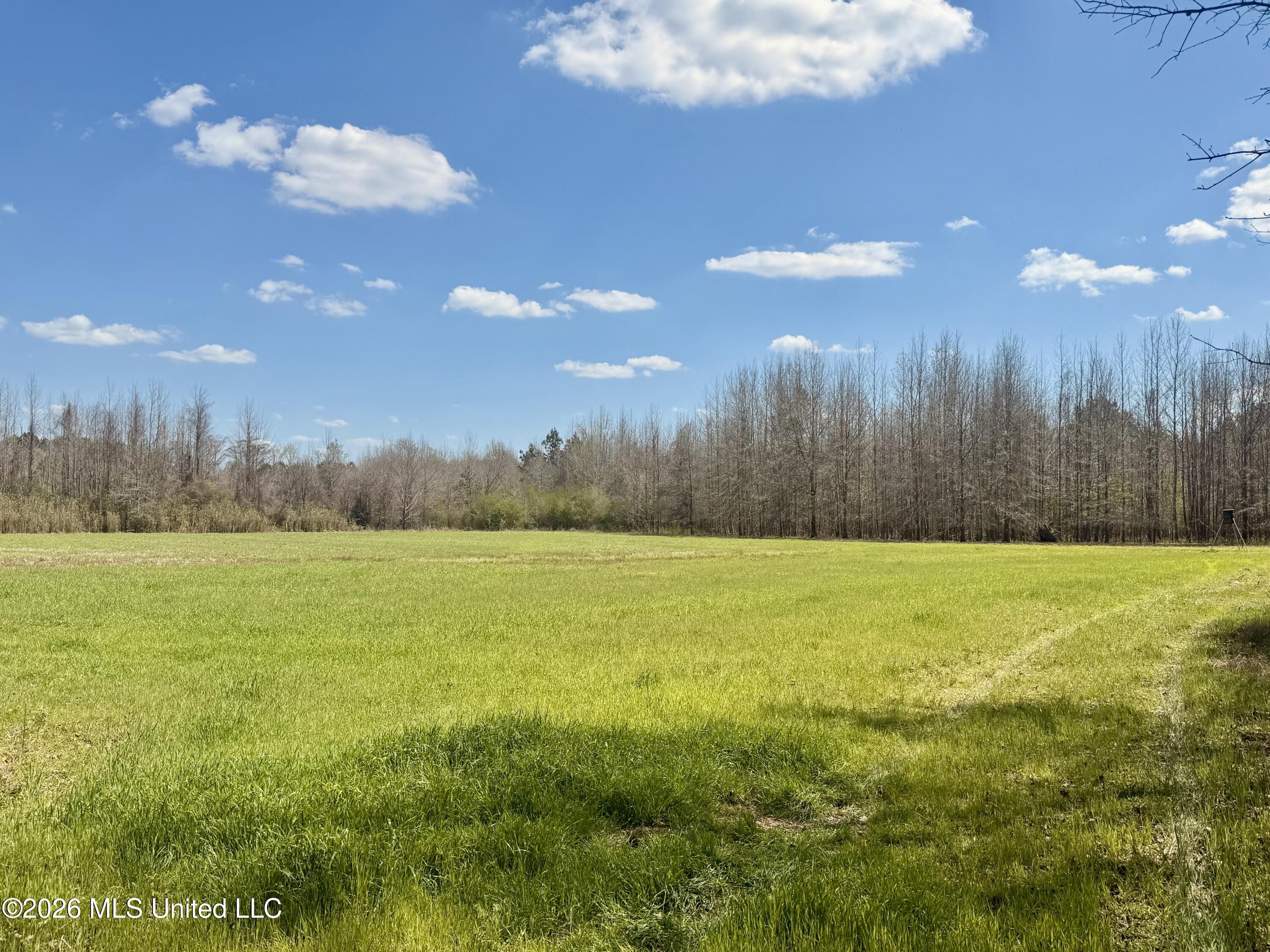 Mississippi 35 Highway Property Photo 3