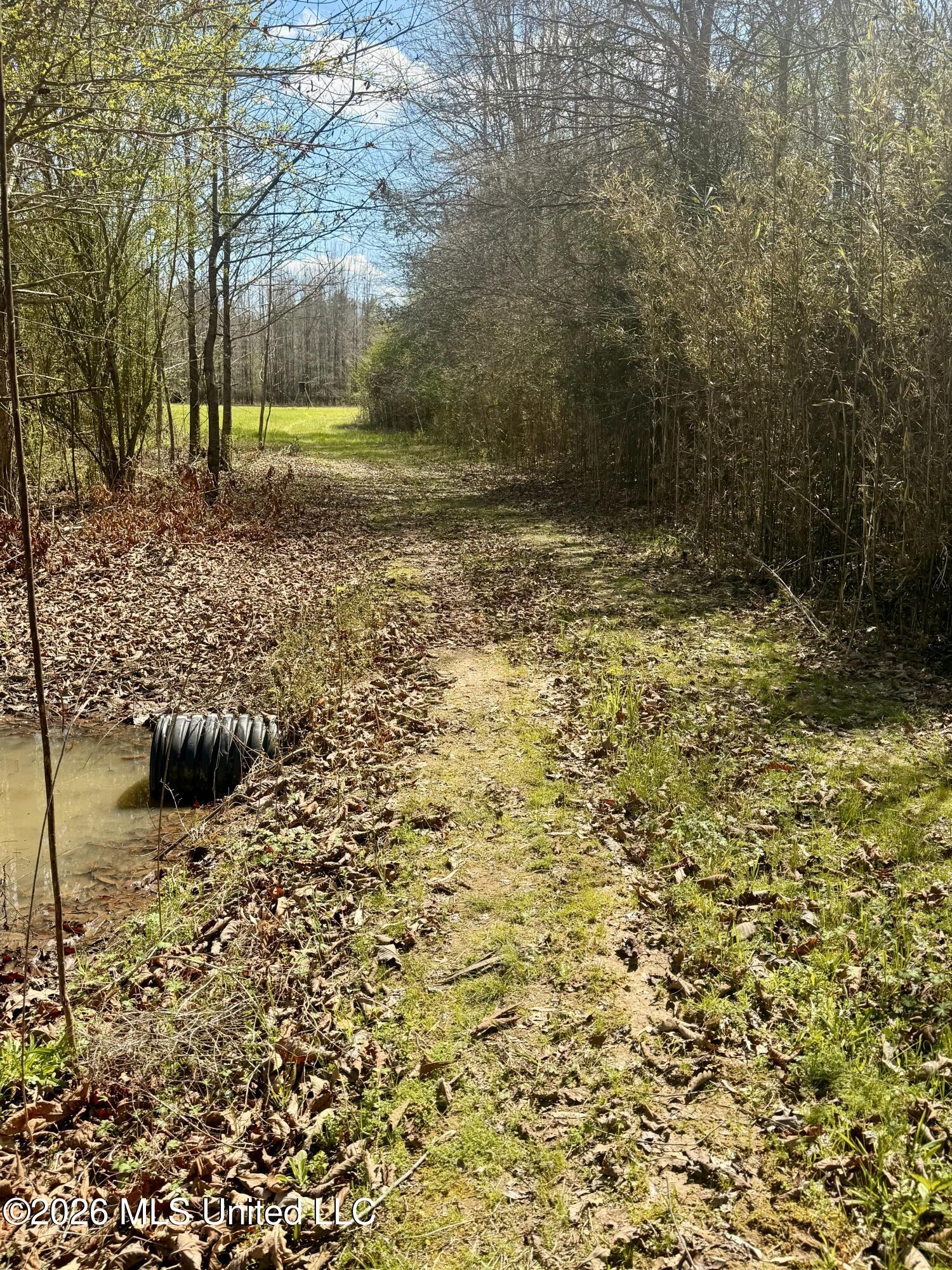 Mississippi 35 Highway Property Photo 4