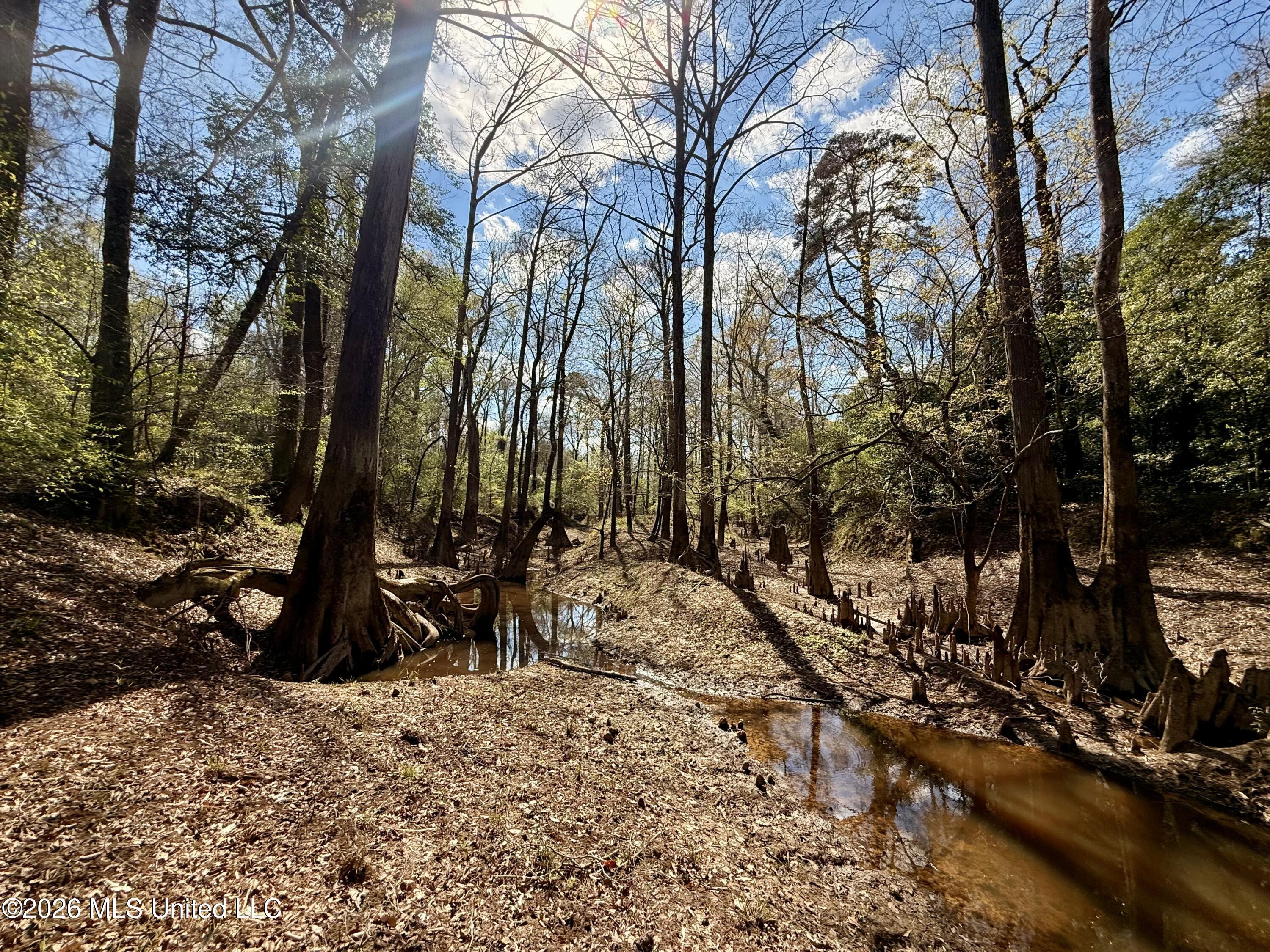 Mississippi 35 Highway Property Photo 8