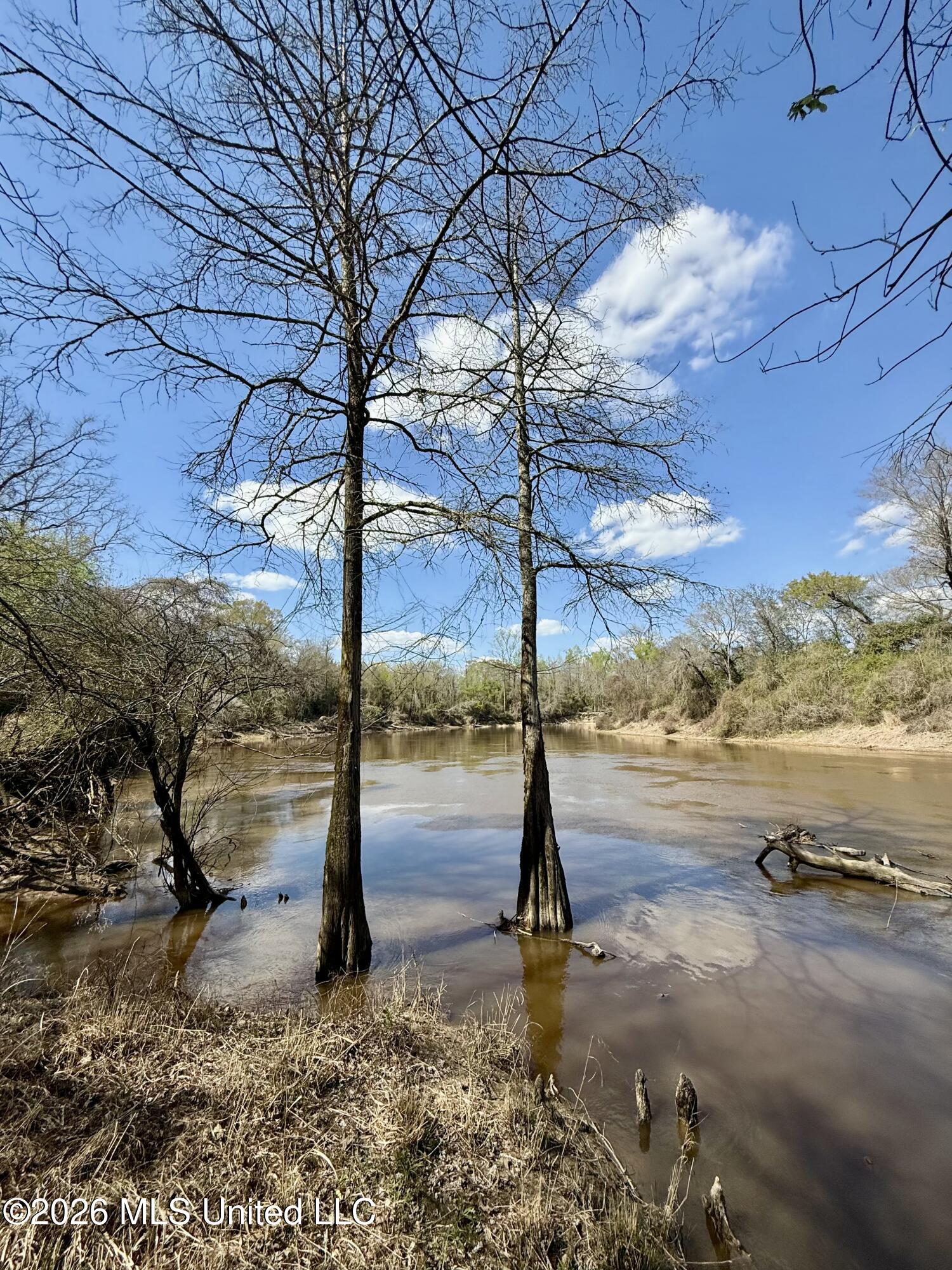Mississippi 35 Highway Property Photo 10