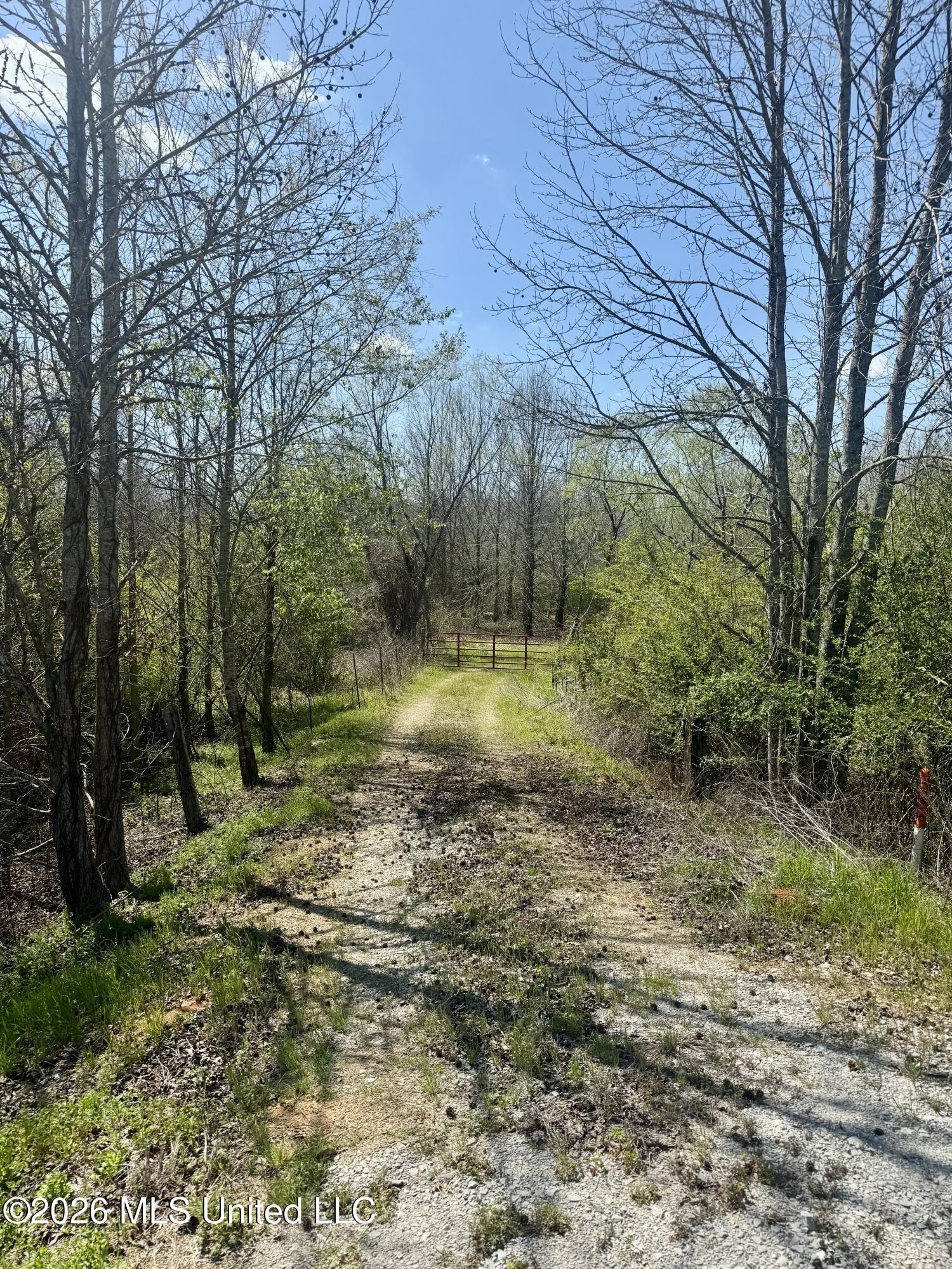 Mississippi 35 Highway Property Photo 11