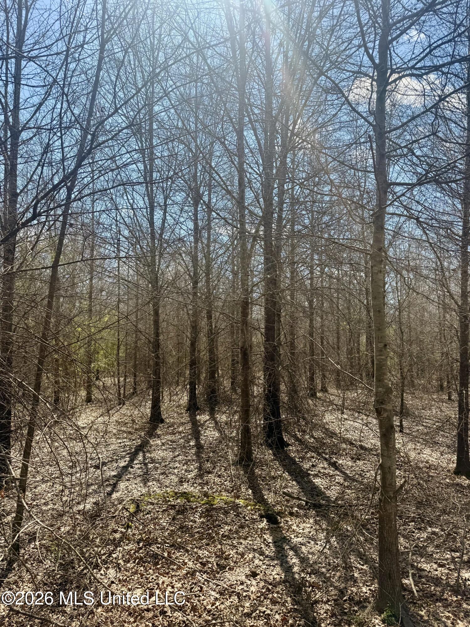 Mississippi 35 Highway Property Photo 15