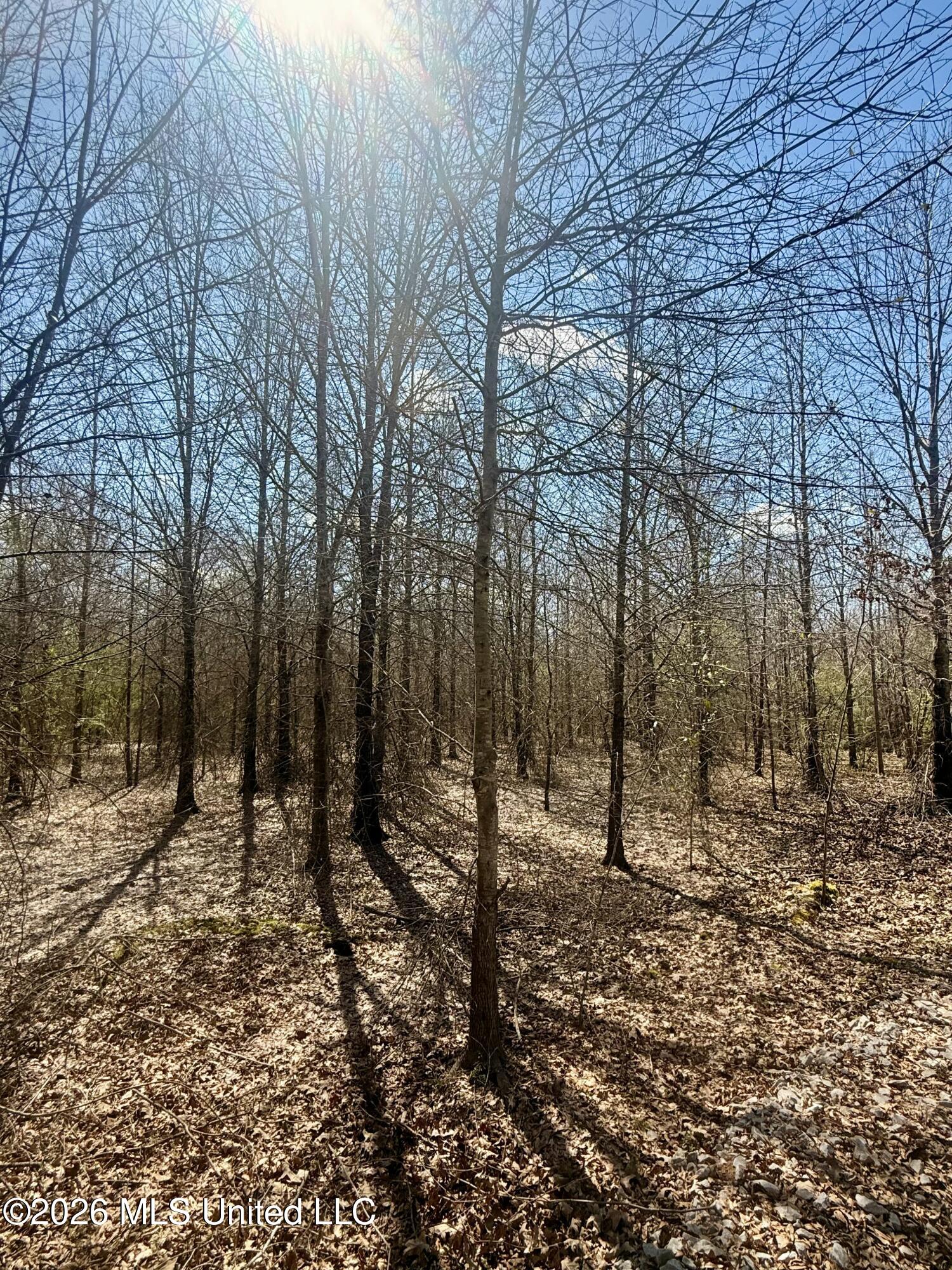 Mississippi 35 Highway Property Photo 16