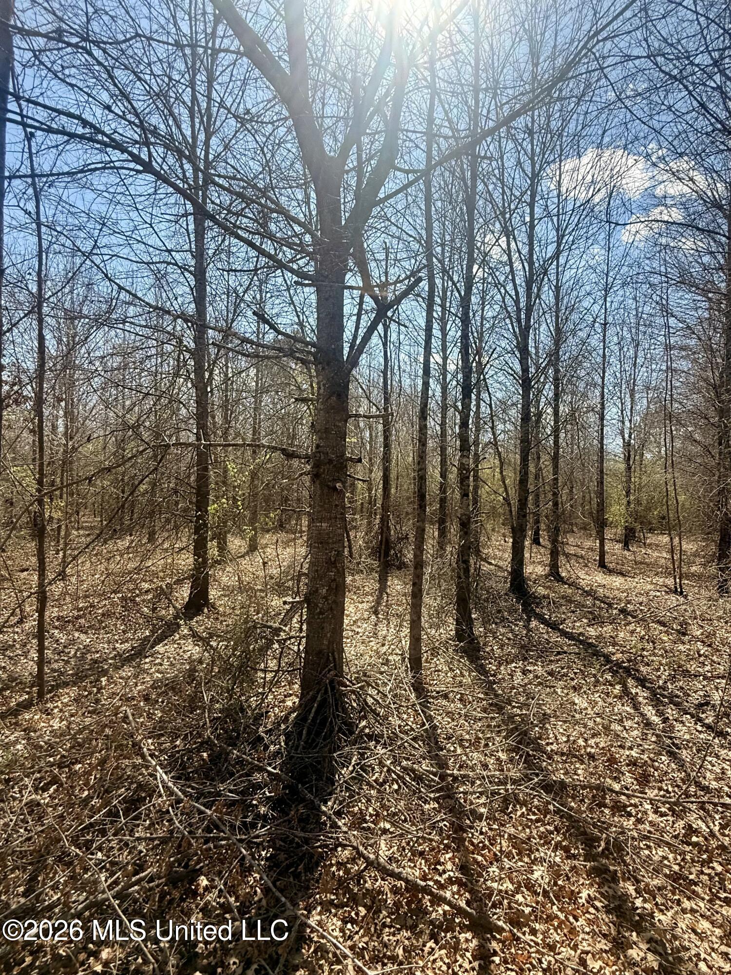 Mississippi 35 Highway Property Photo 17