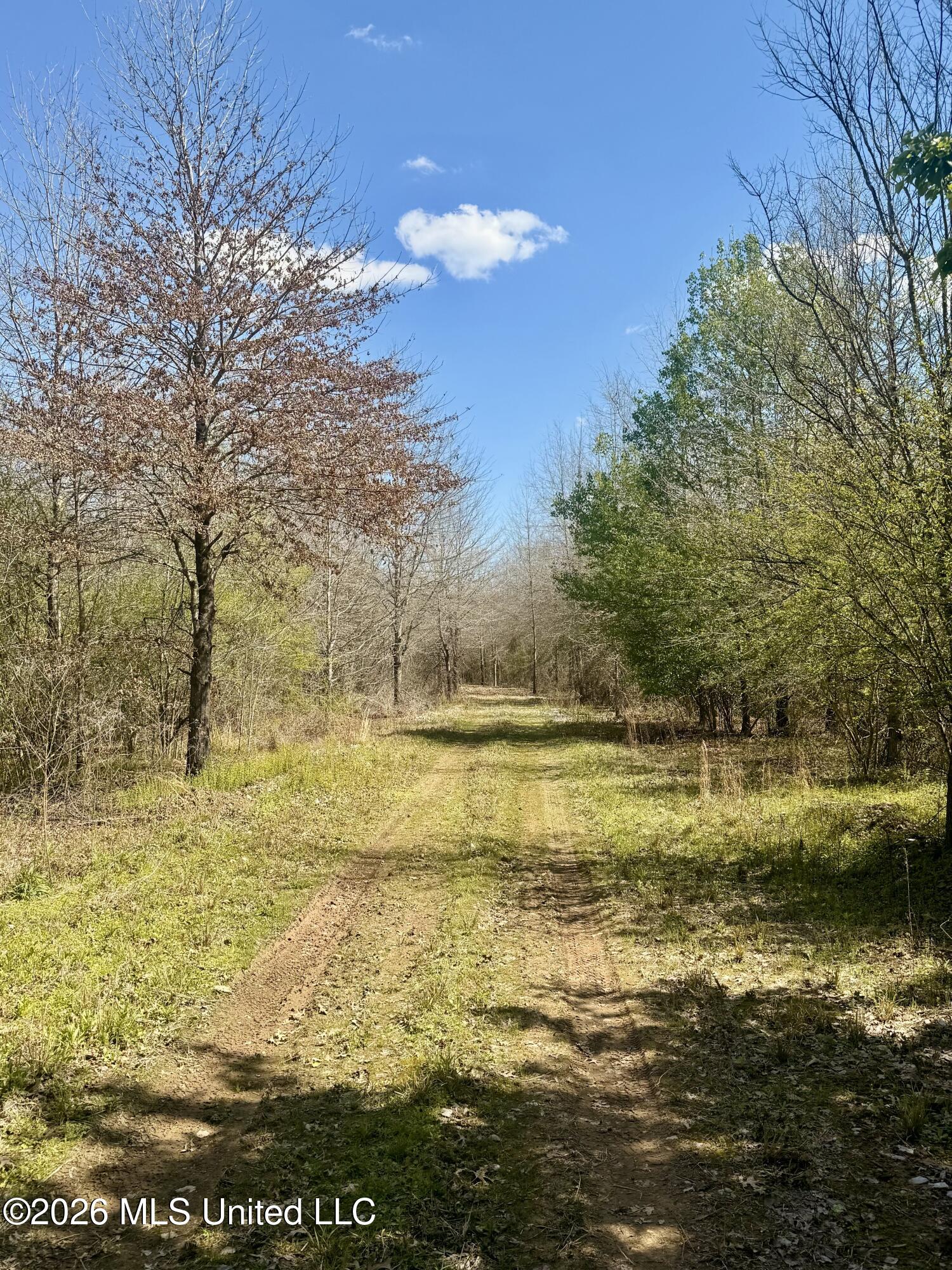 Mississippi 35 Highway Property Photo 18
