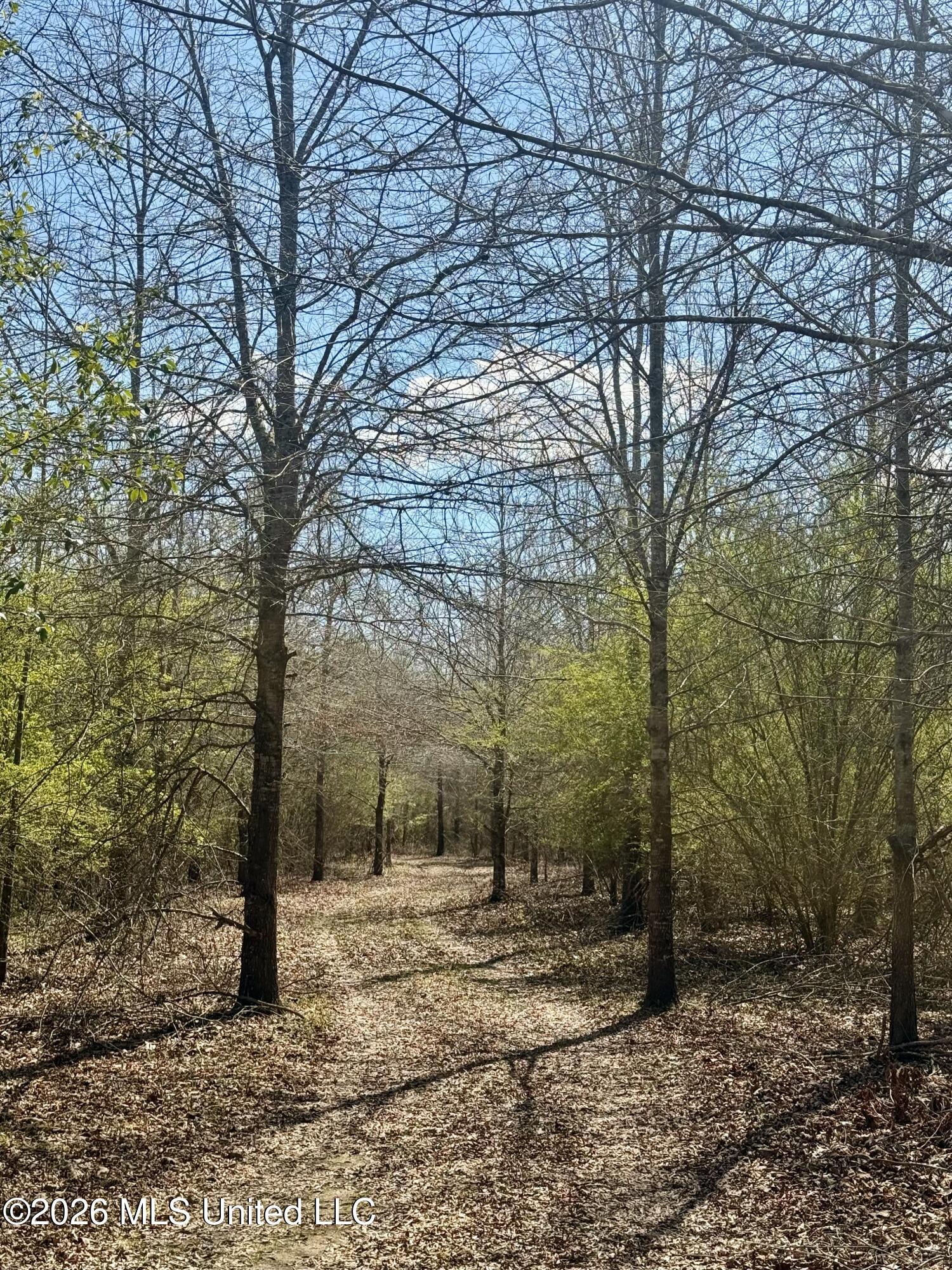 Mississippi 35 Highway Property Photo 19