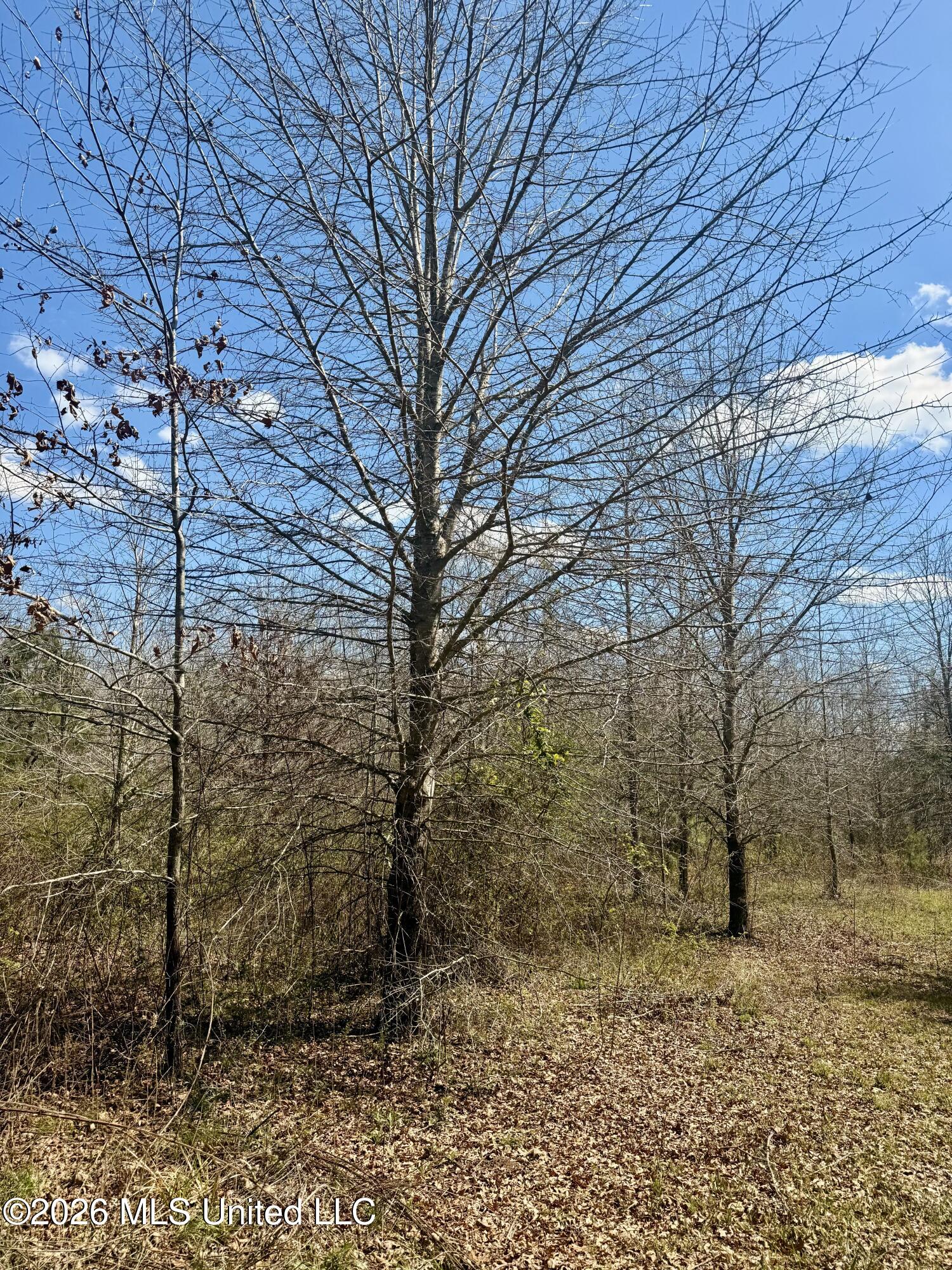 Mississippi 35 Highway Property Photo 20