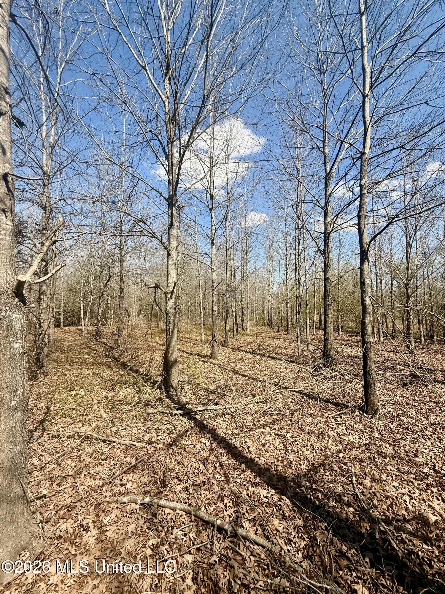 Mississippi 35 Highway Property Photo 21