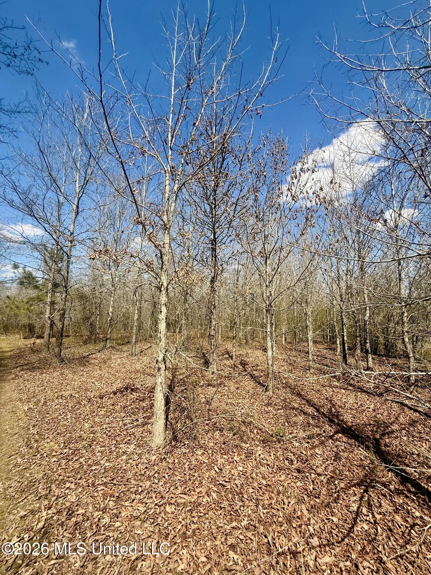 Mississippi 35 Highway Property Photo 22