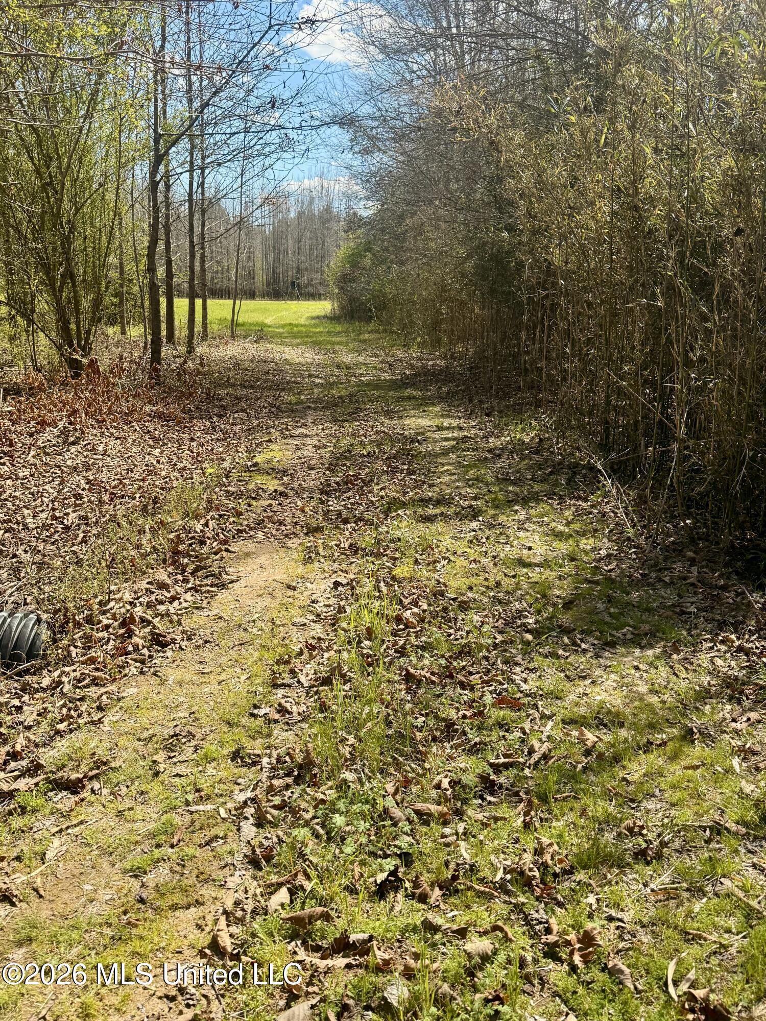 Mississippi 35 Highway Property Photo 23