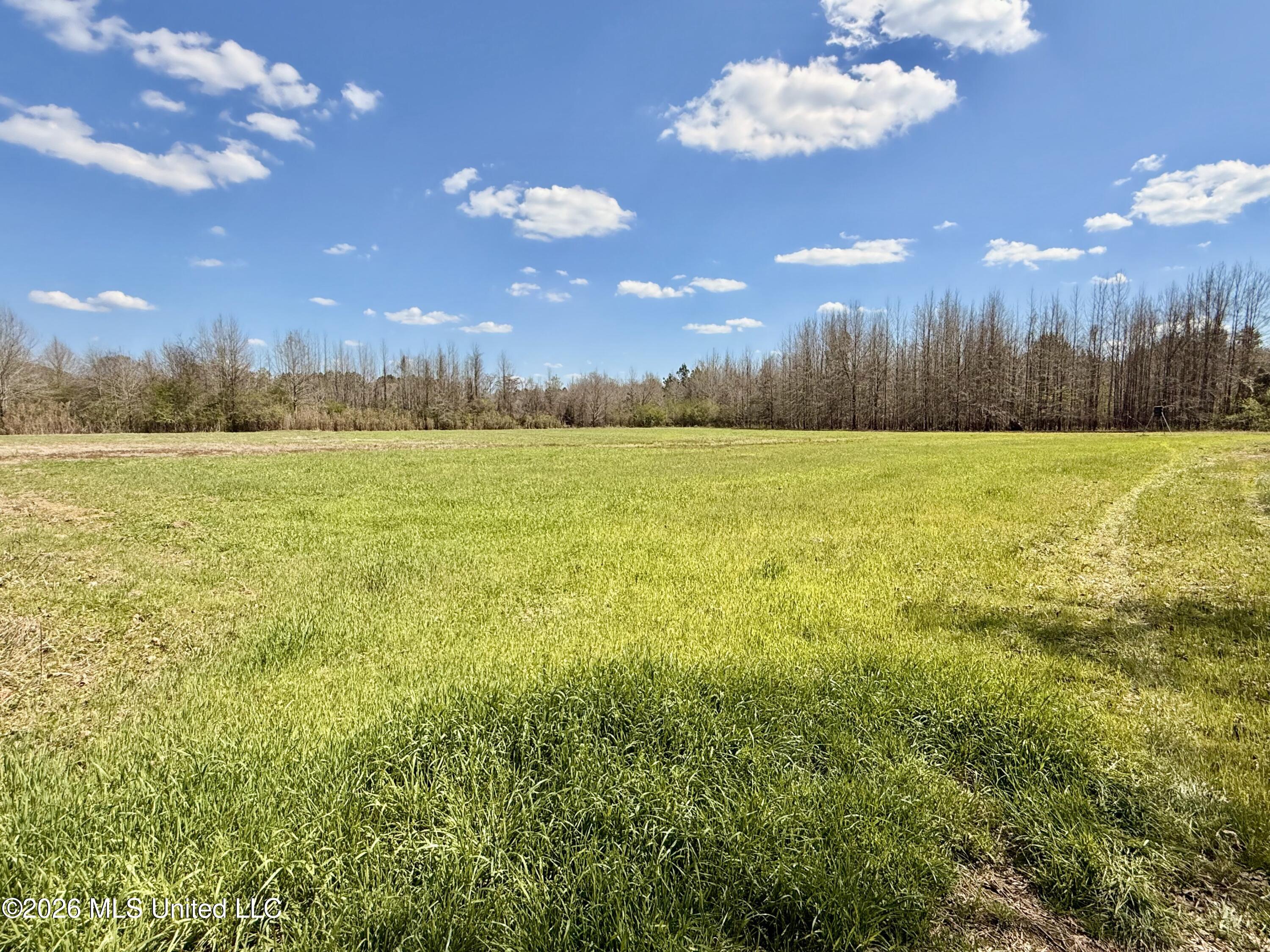 Mississippi 35 Highway Property Photo 24