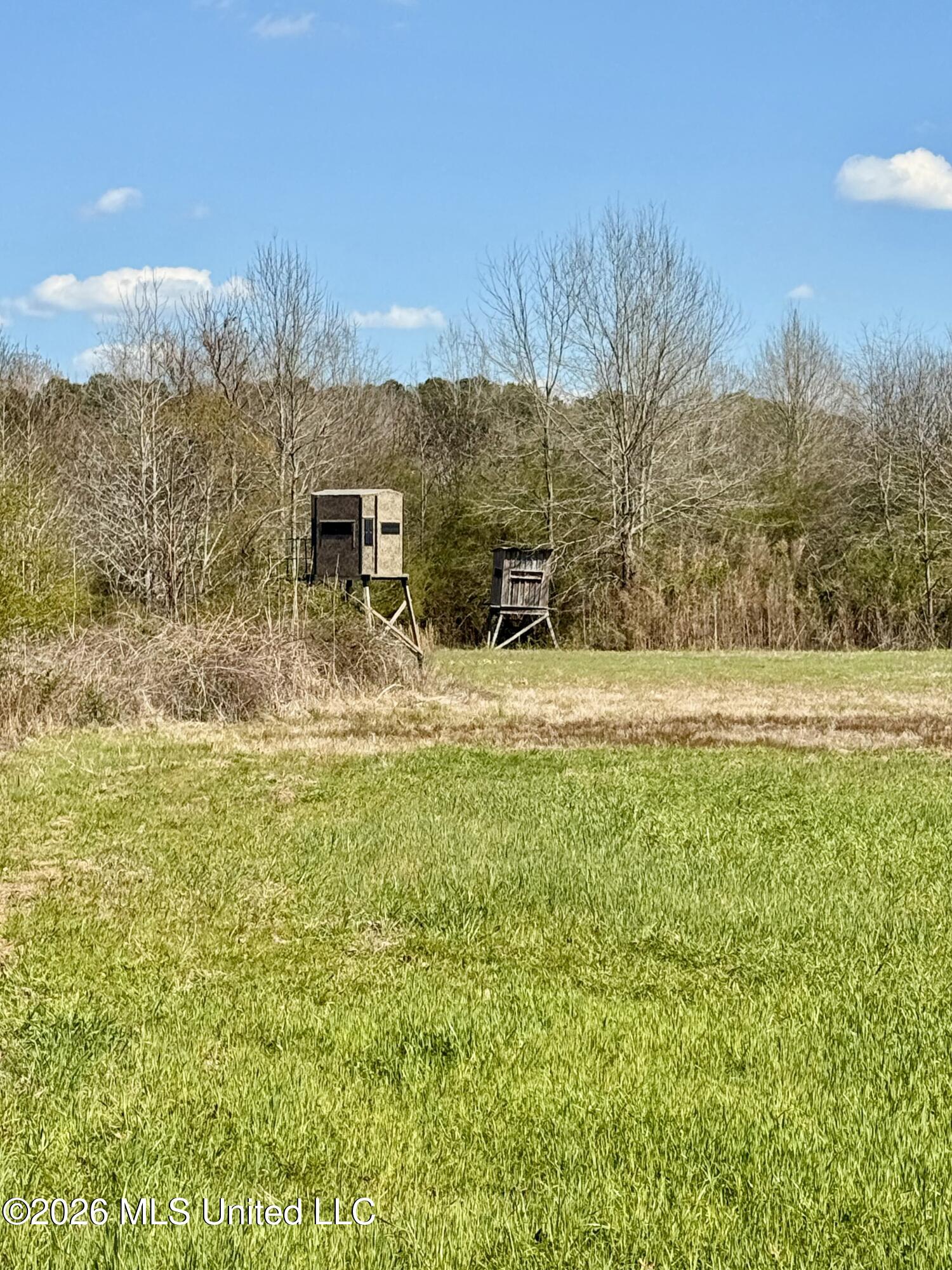 Mississippi 35 Highway Property Photo 25