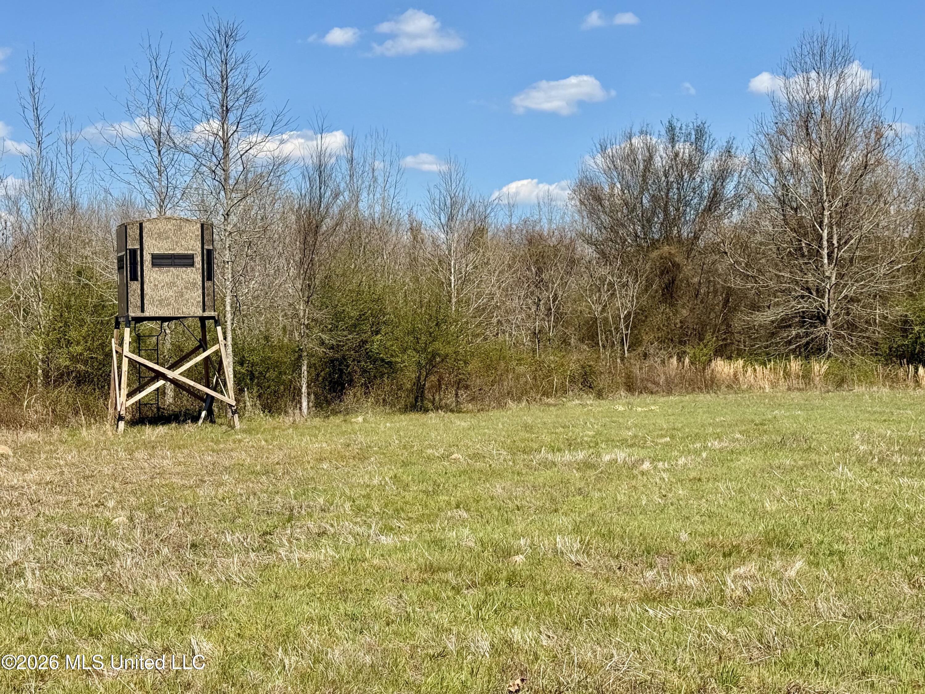 Mississippi 35 Highway Property Photo 26