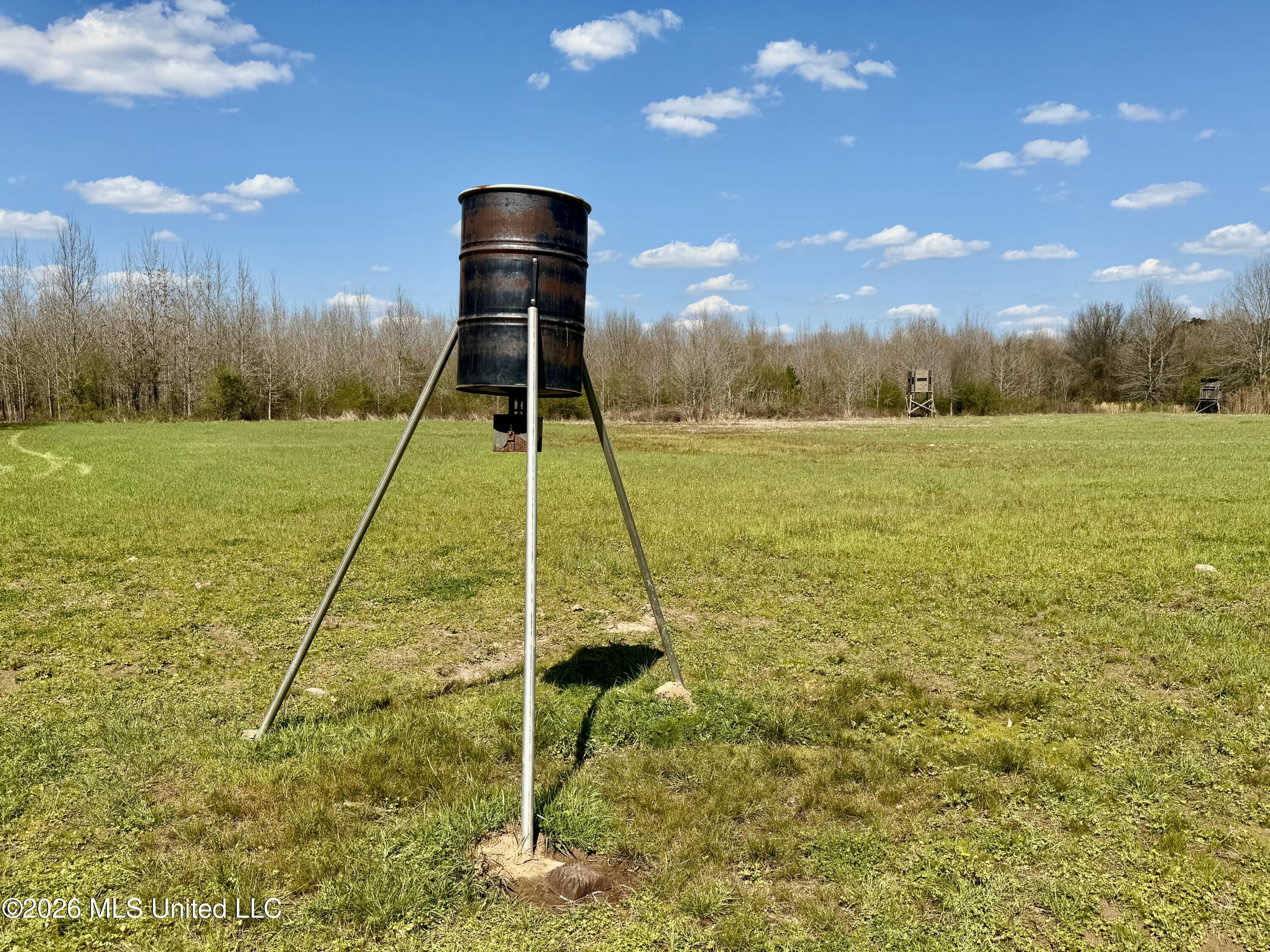 Mississippi 35 Highway Property Photo 28
