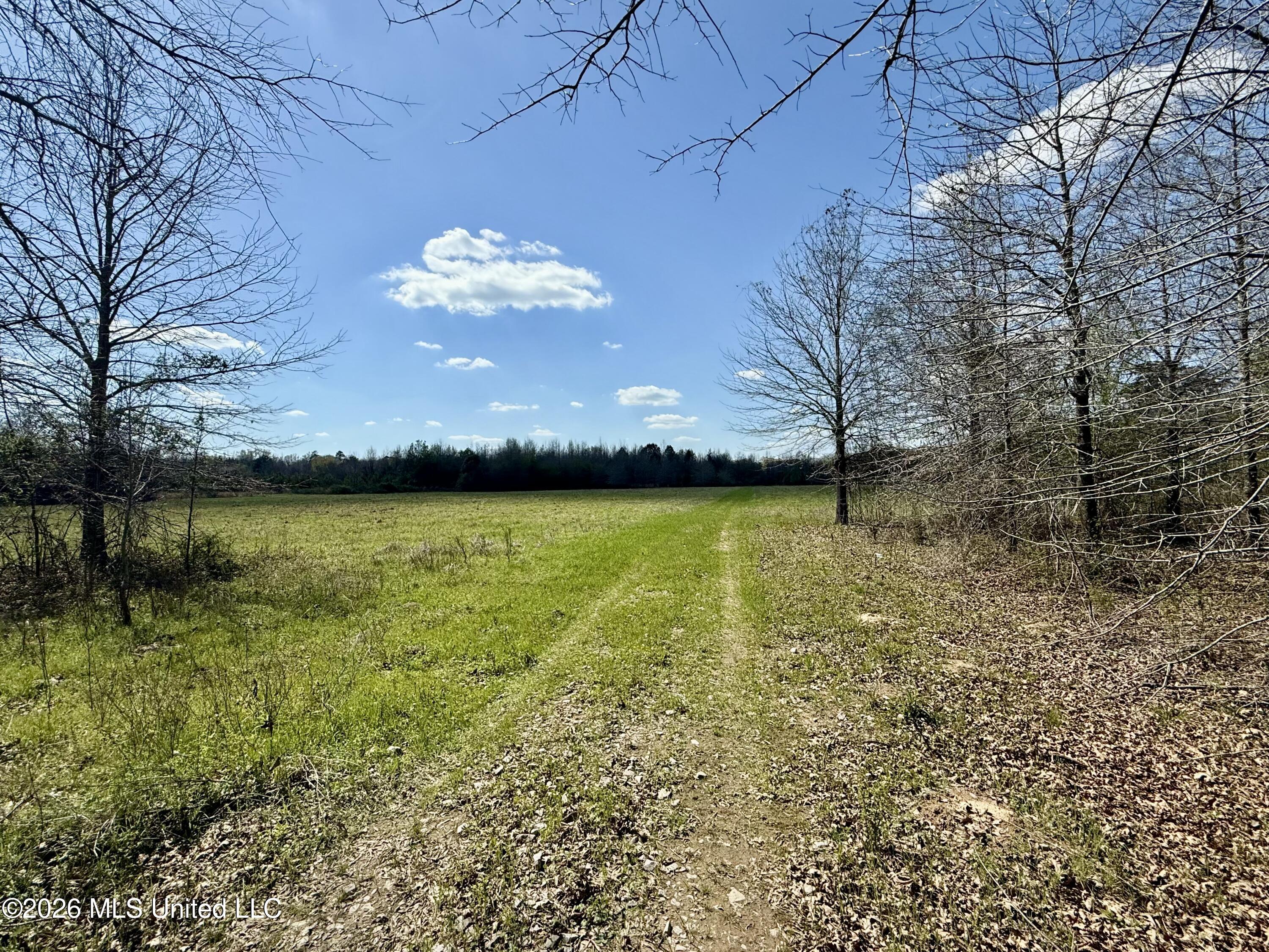 Mississippi 35 Highway Property Photo 29