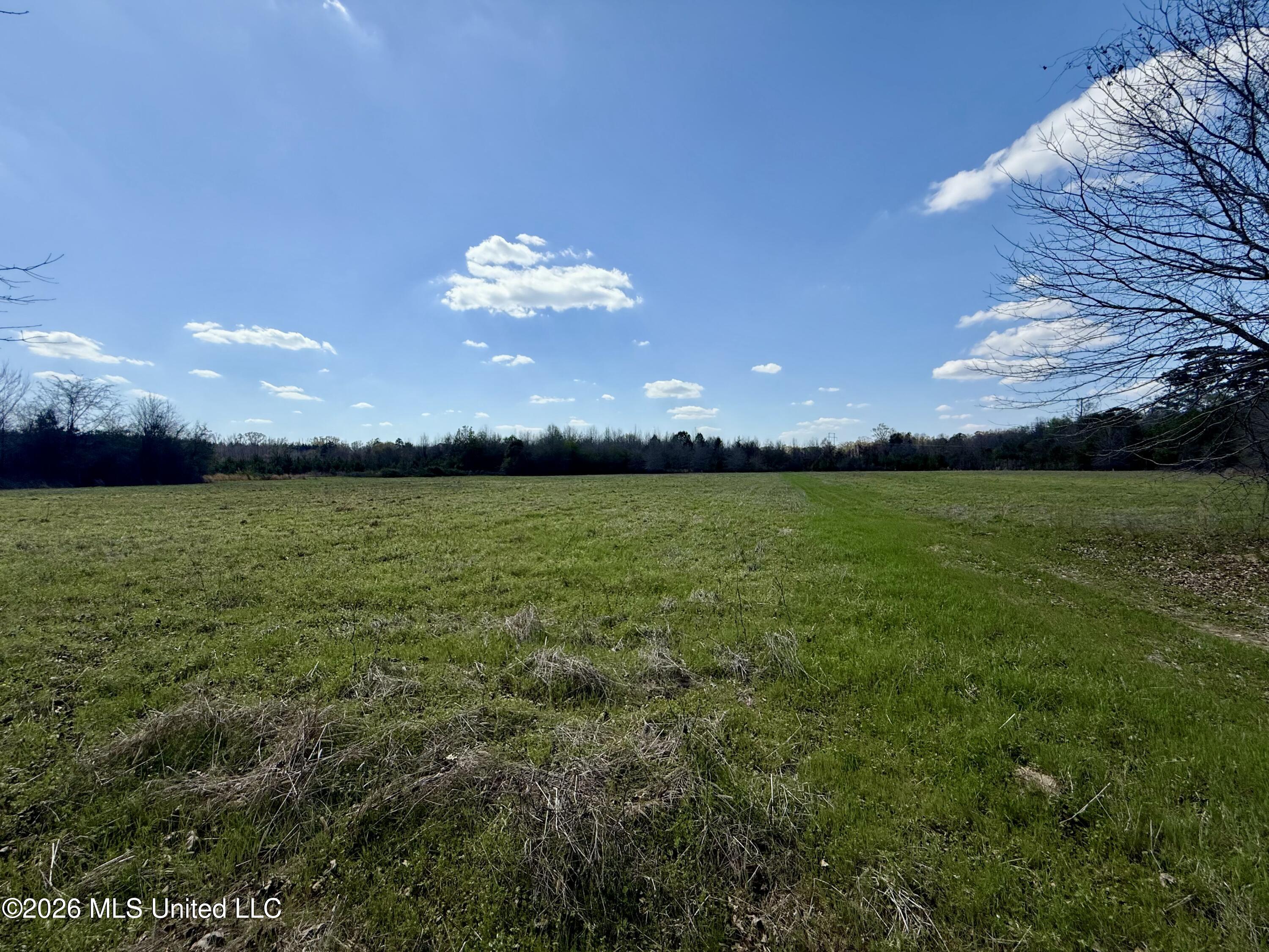 Mississippi 35 Highway Property Photo 30