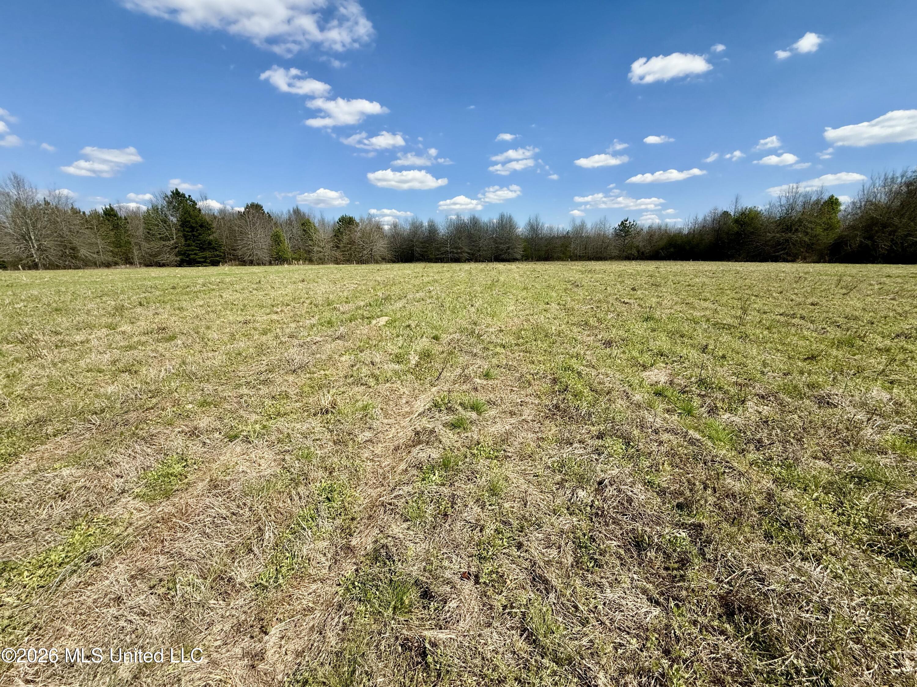 Mississippi 35 Highway Property Photo 31