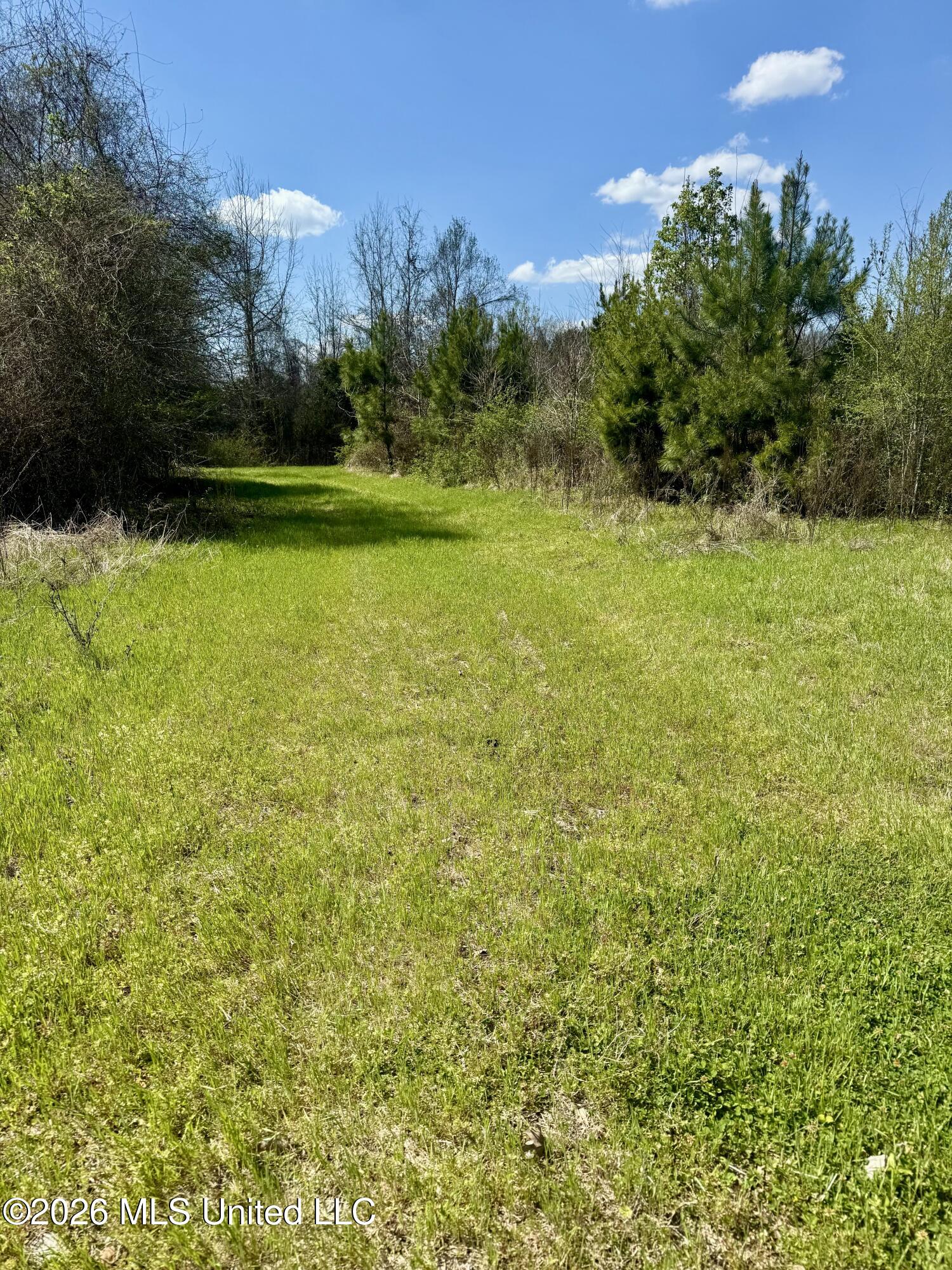 Mississippi 35 Highway Property Photo 32