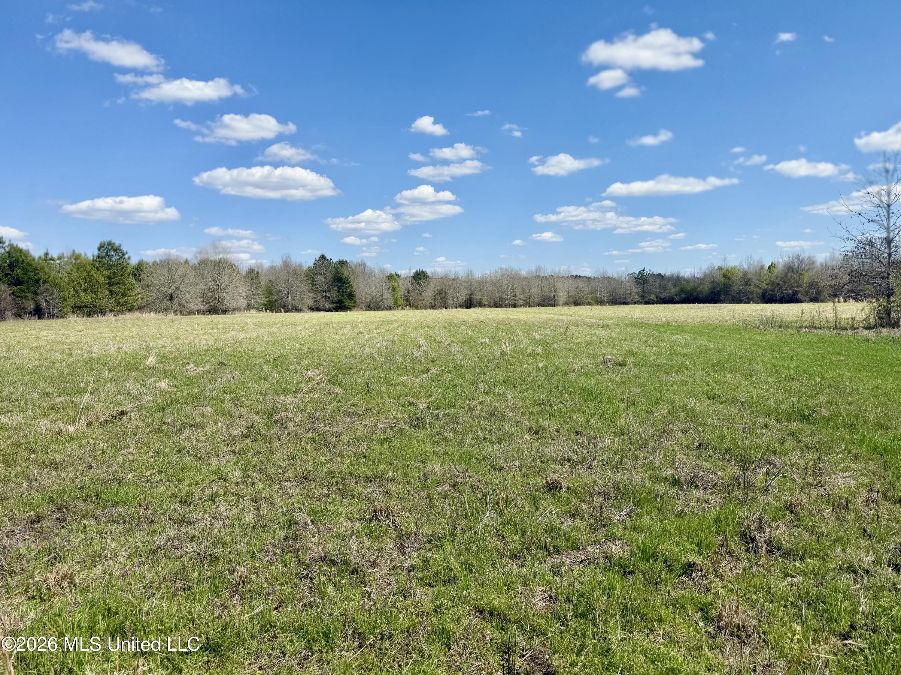 Mississippi 35 Highway Property Photo 33