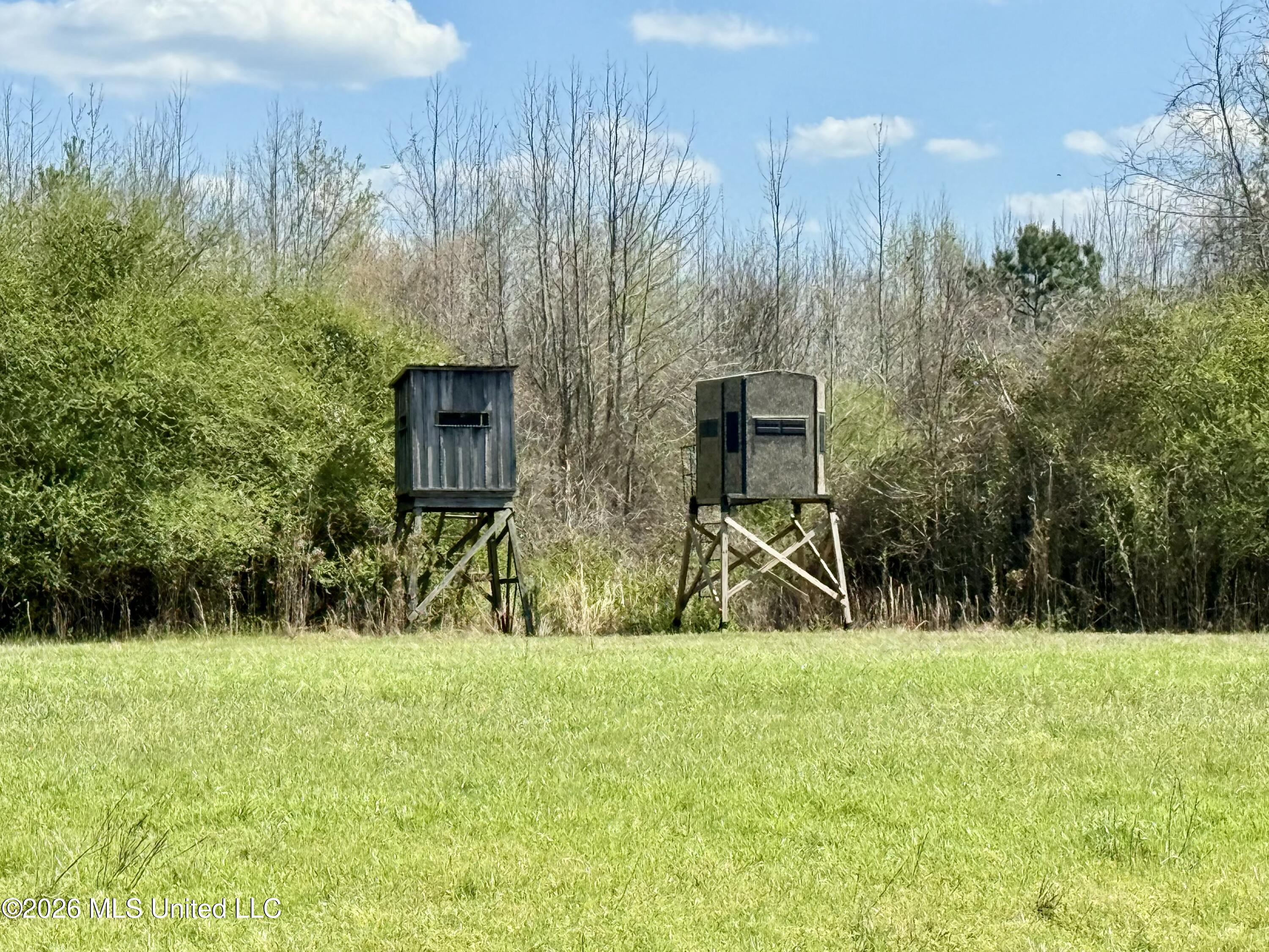 Mississippi 35 Highway Property Photo 35