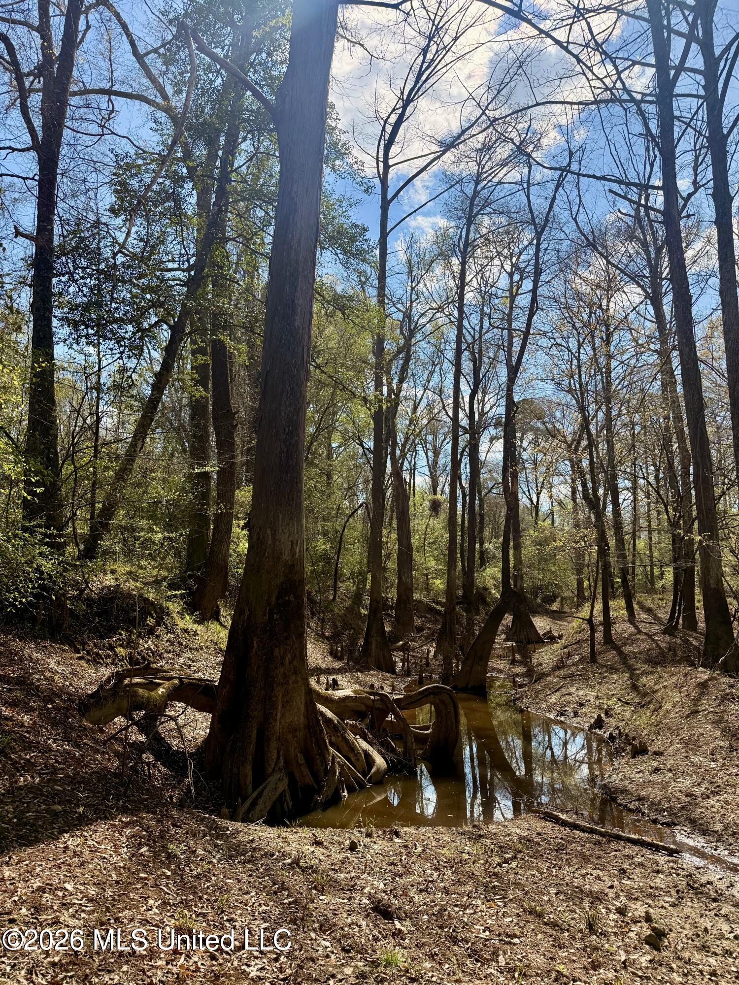 Mississippi 35 Highway Property Photo 37