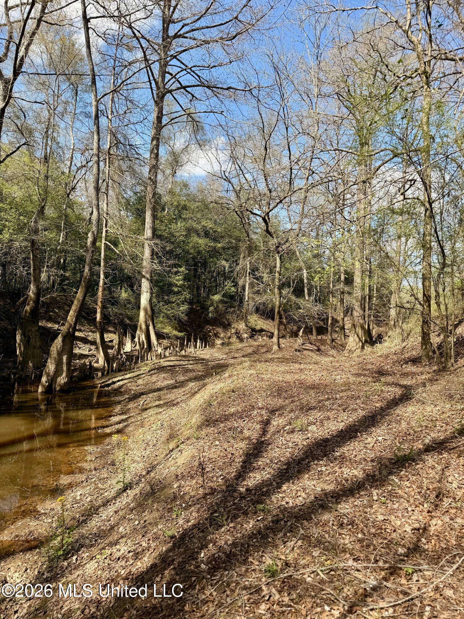 Mississippi 35 Highway Property Photo 41