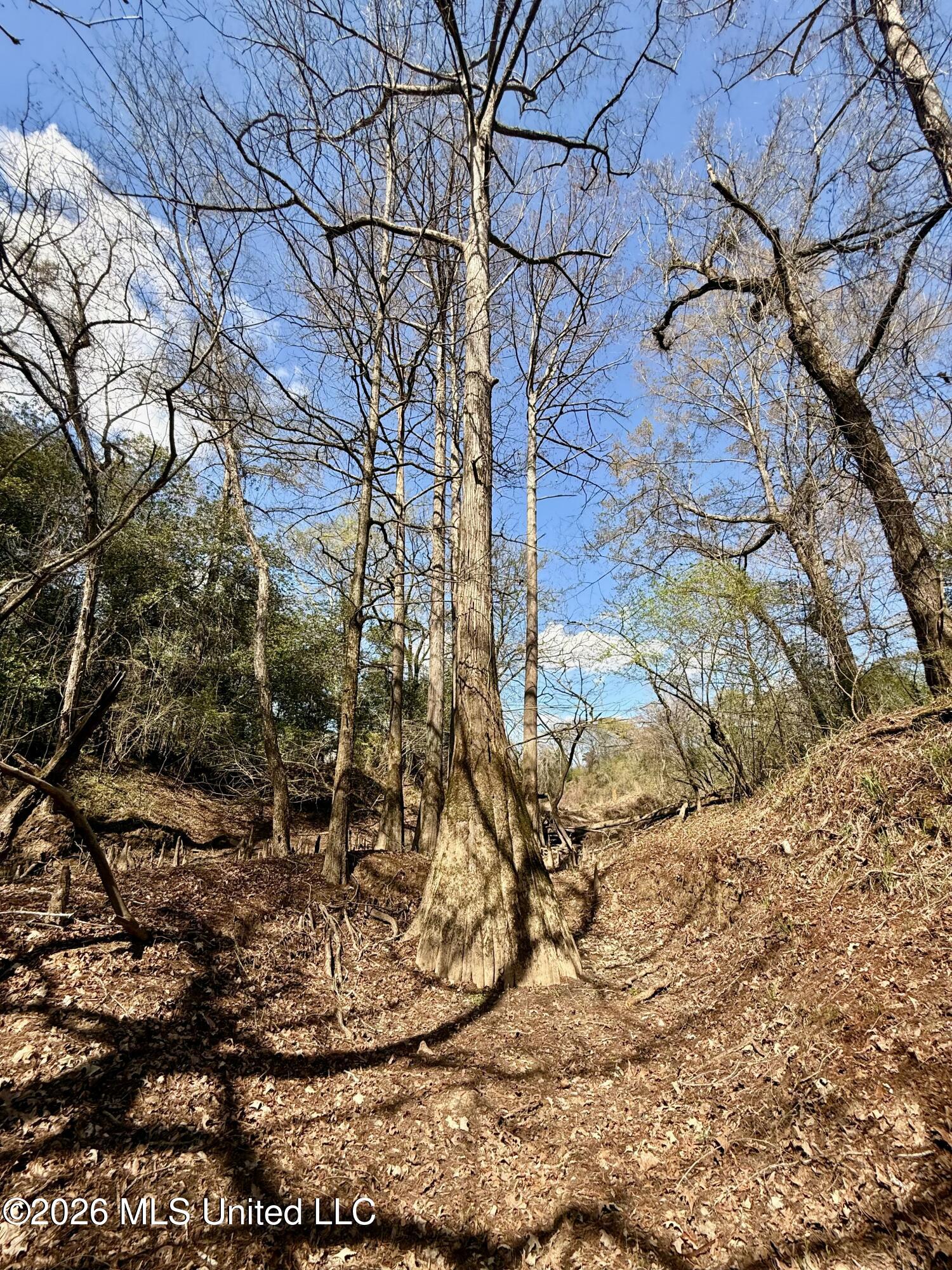 Mississippi 35 Highway Property Photo 42