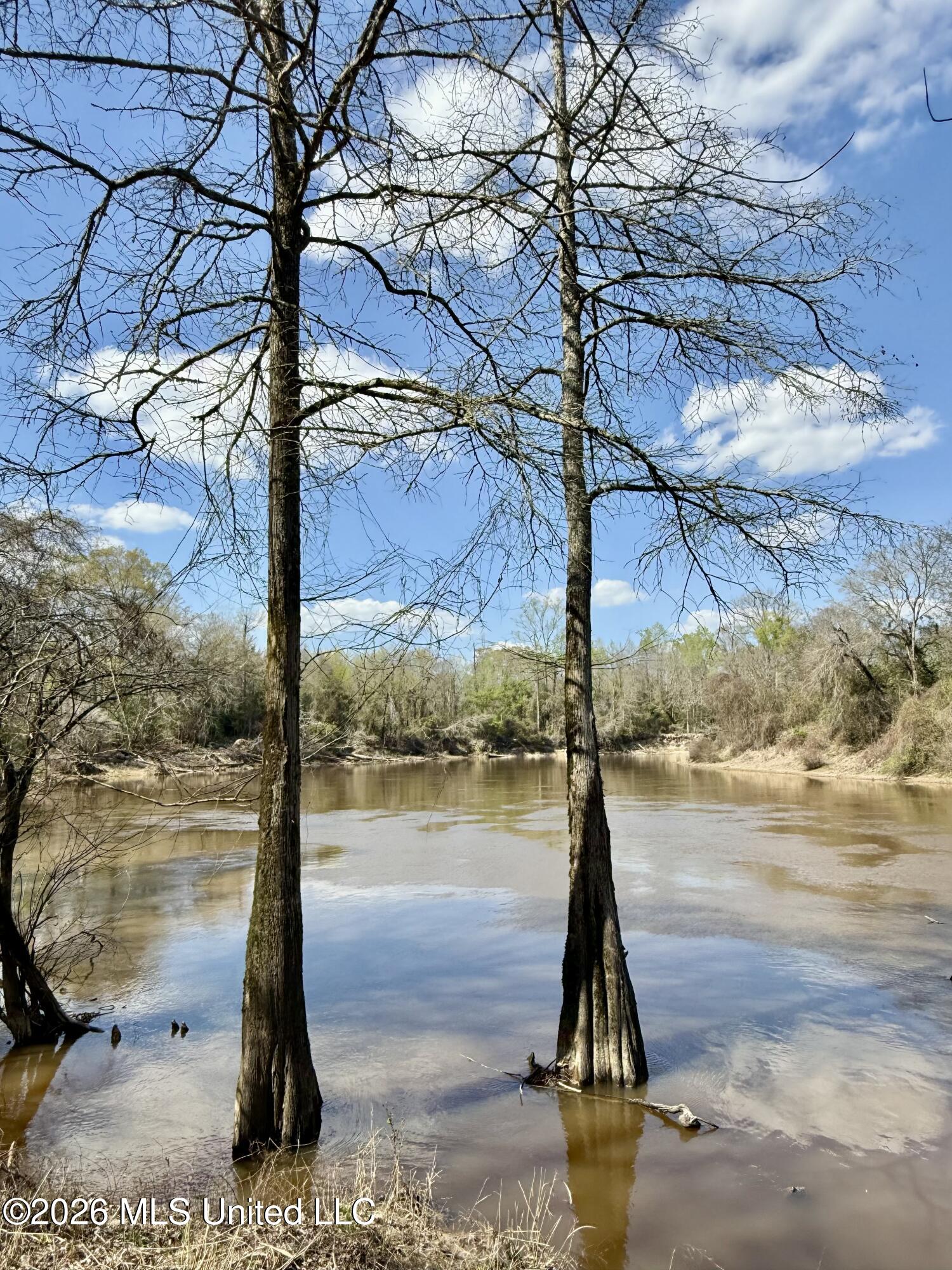Mississippi 35 Highway Property Photo 47
