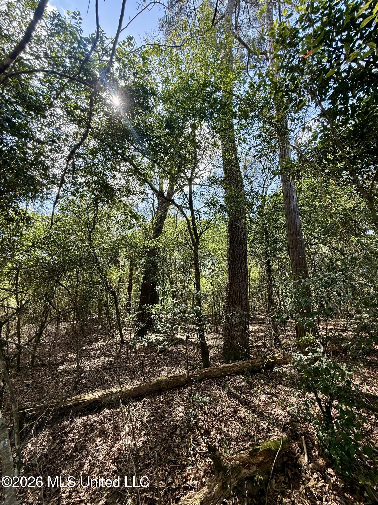 Mississippi 35 Highway Property Photo 48