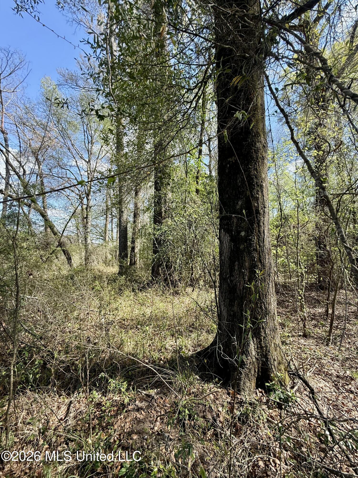 Mississippi 35 Highway Property Photo 49