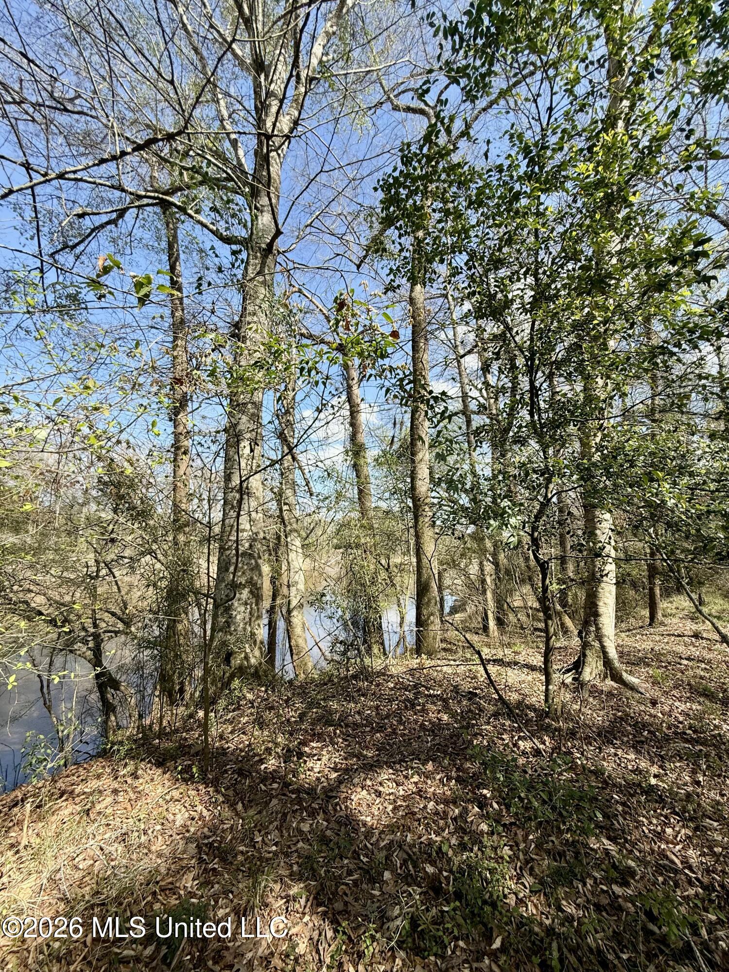Mississippi 35 Highway Property Photo 50