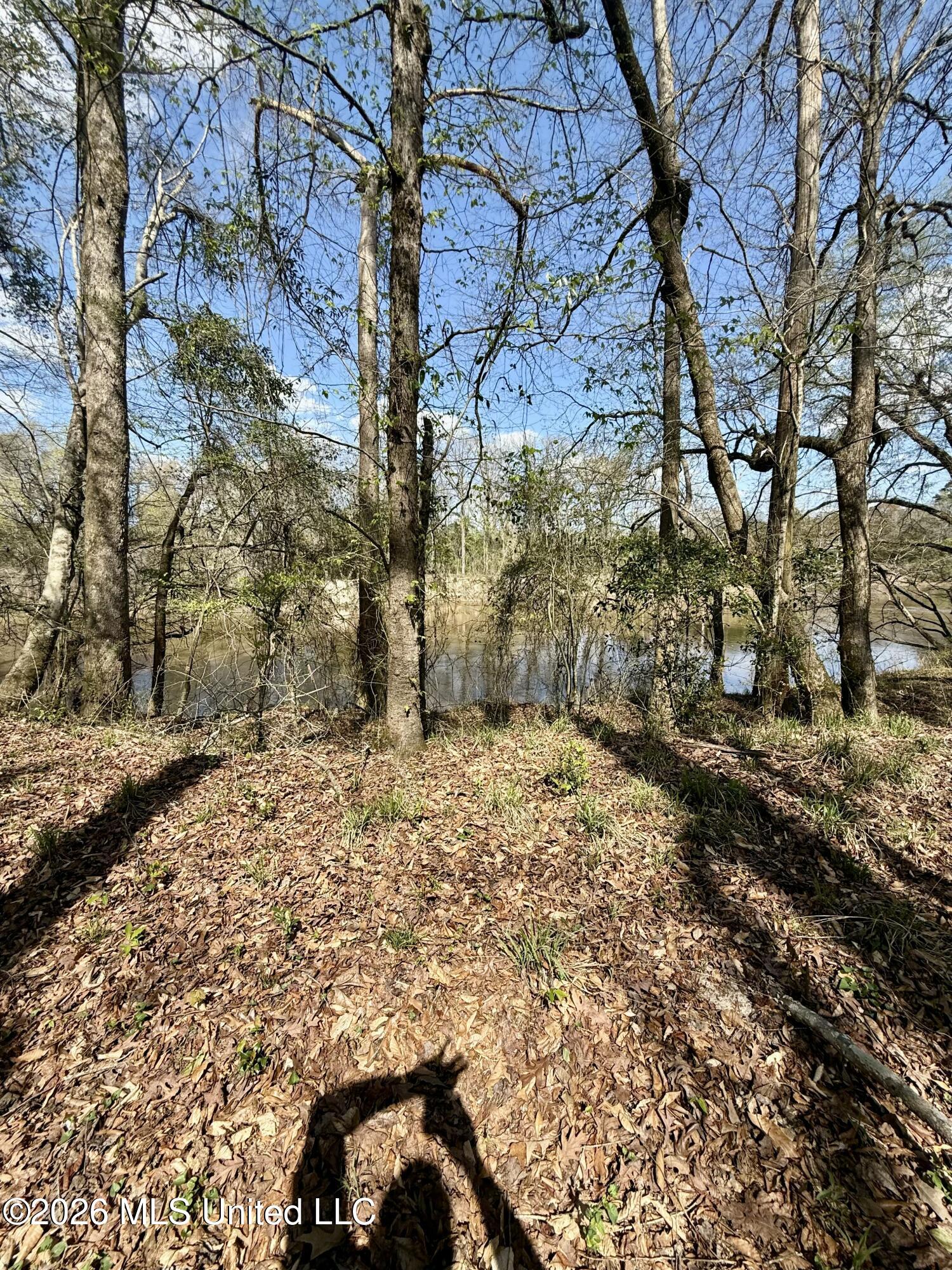 Mississippi 35 Highway Property Photo 51