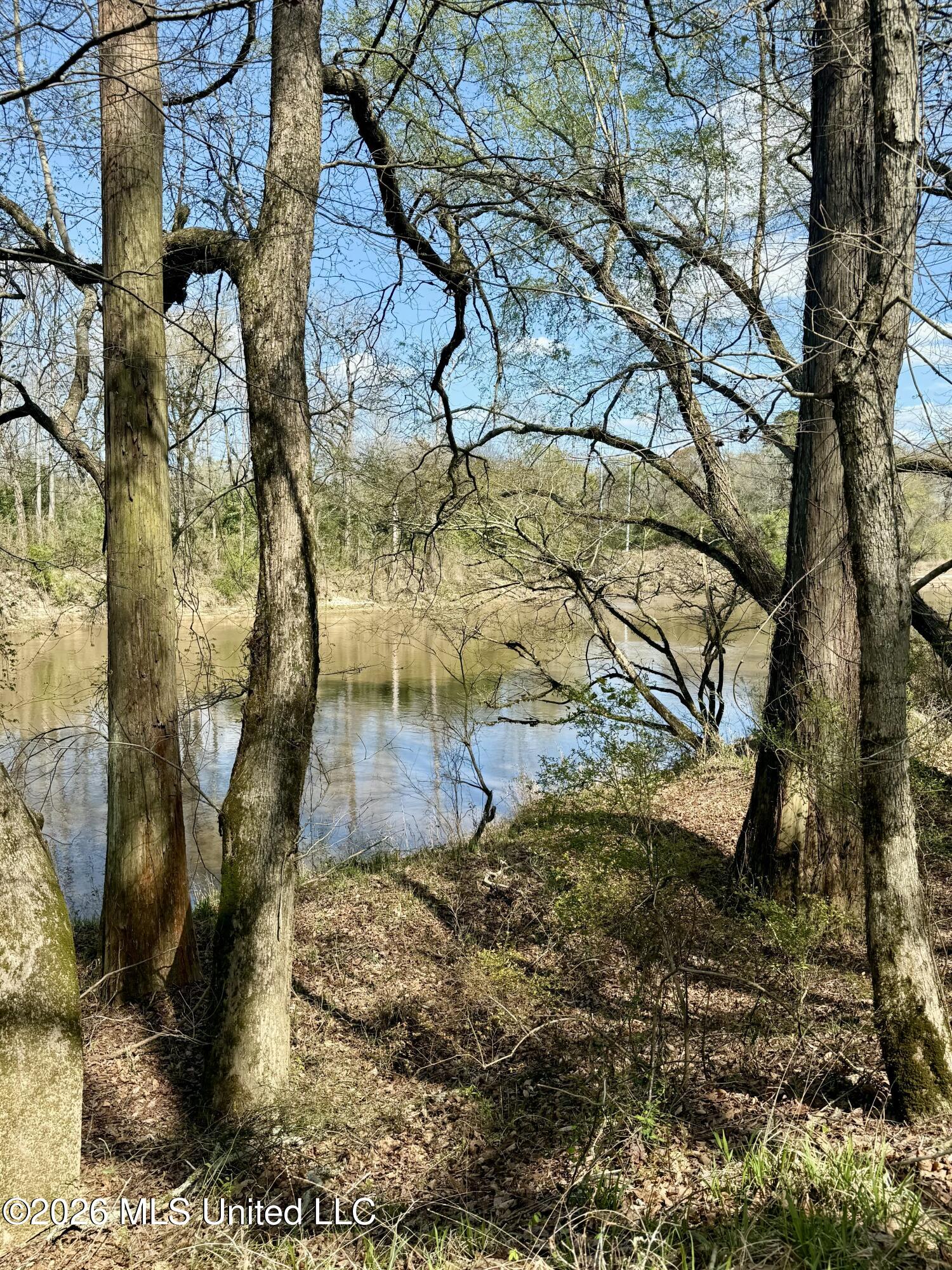Mississippi 35 Highway Property Photo 52