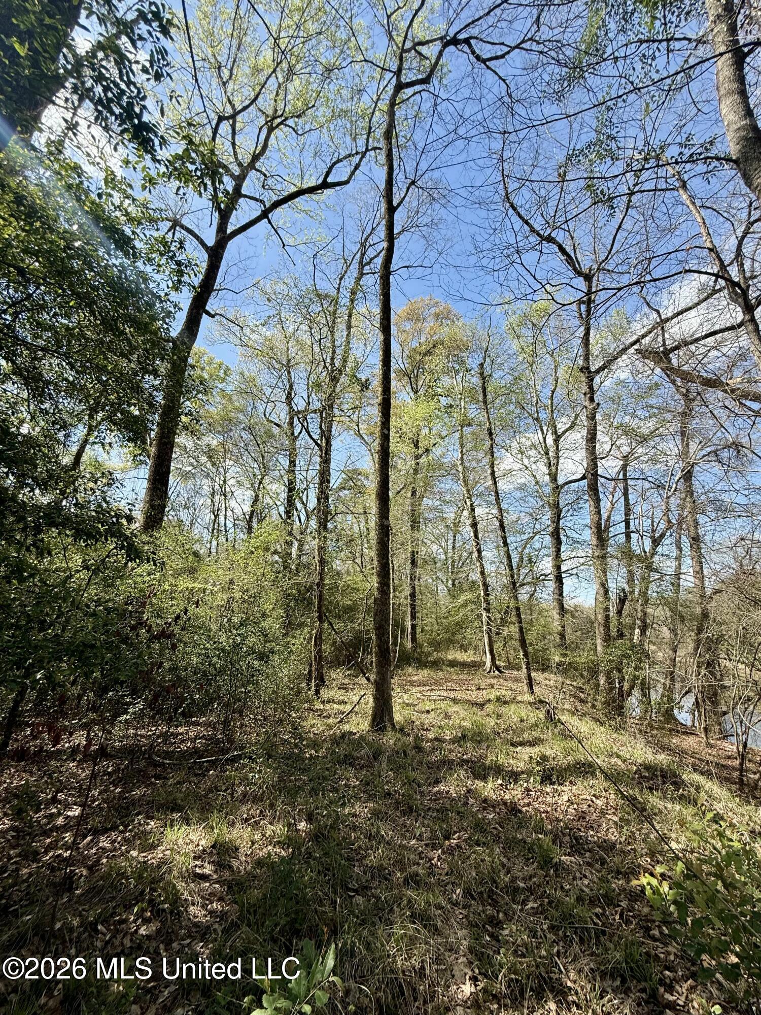 Mississippi 35 Highway Property Photo 53