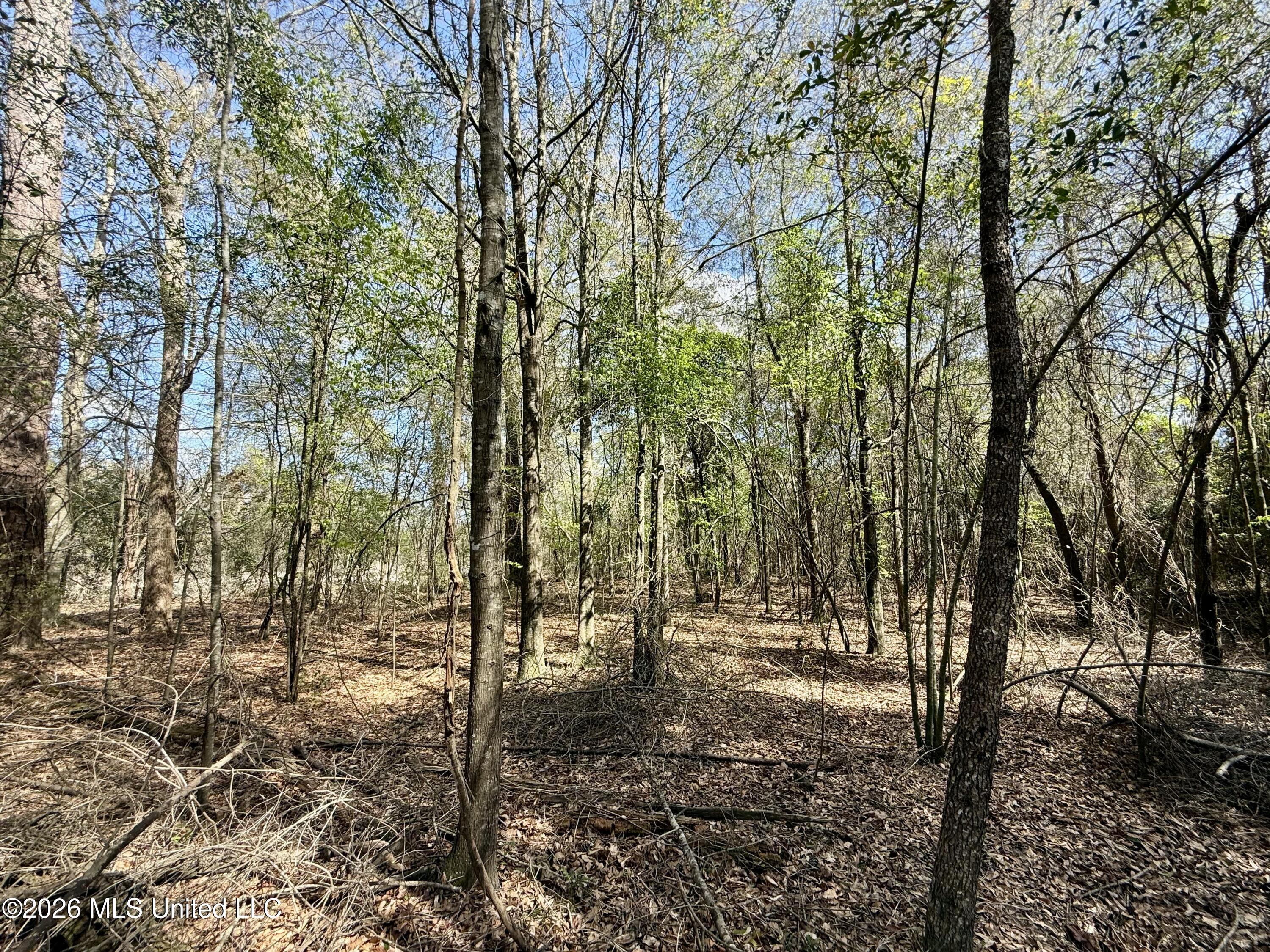 Mississippi 35 Highway Property Photo 55