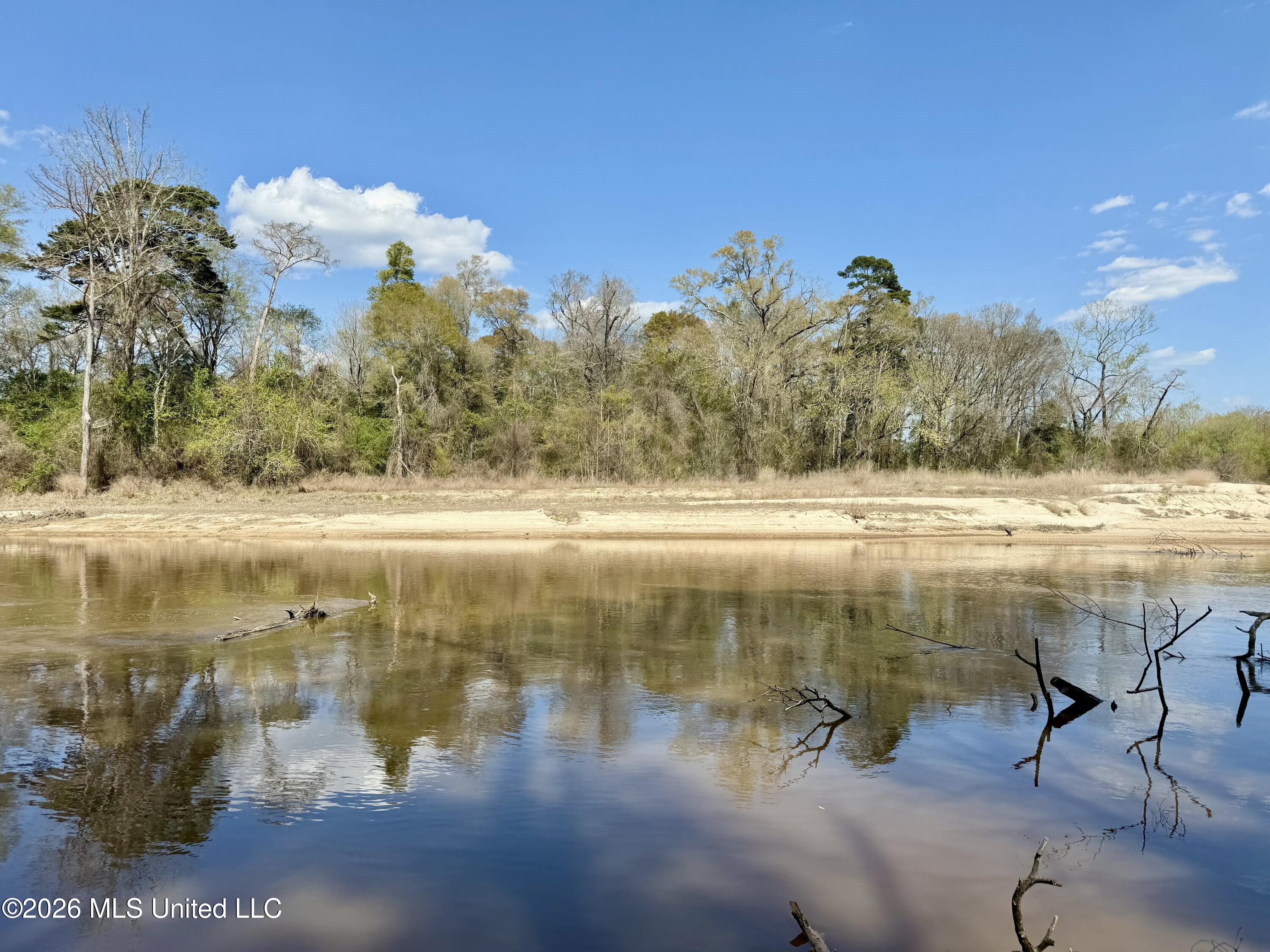 Mississippi 35 Highway Property Photo 58