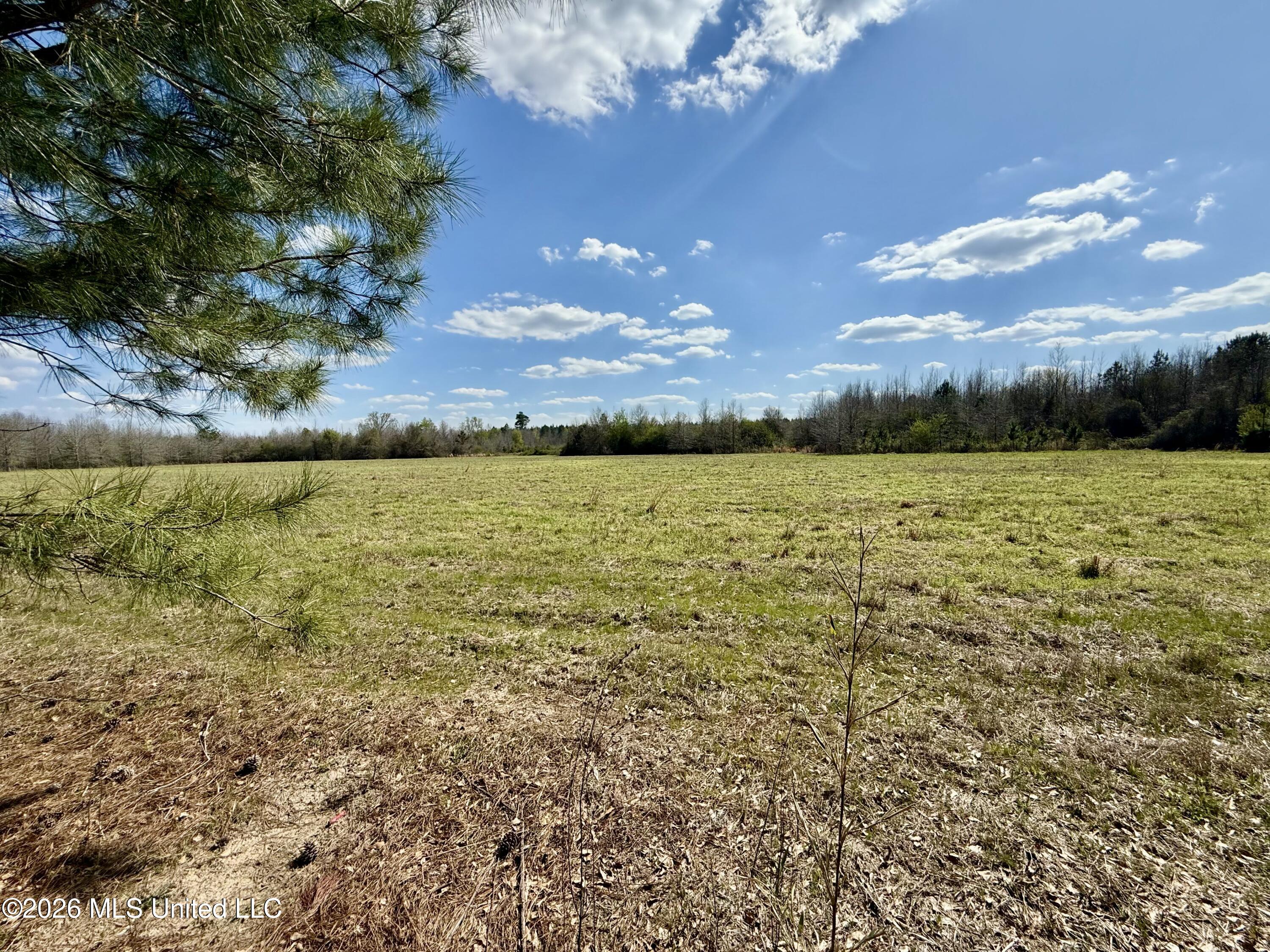 Mississippi 35 Highway Property Photo 65