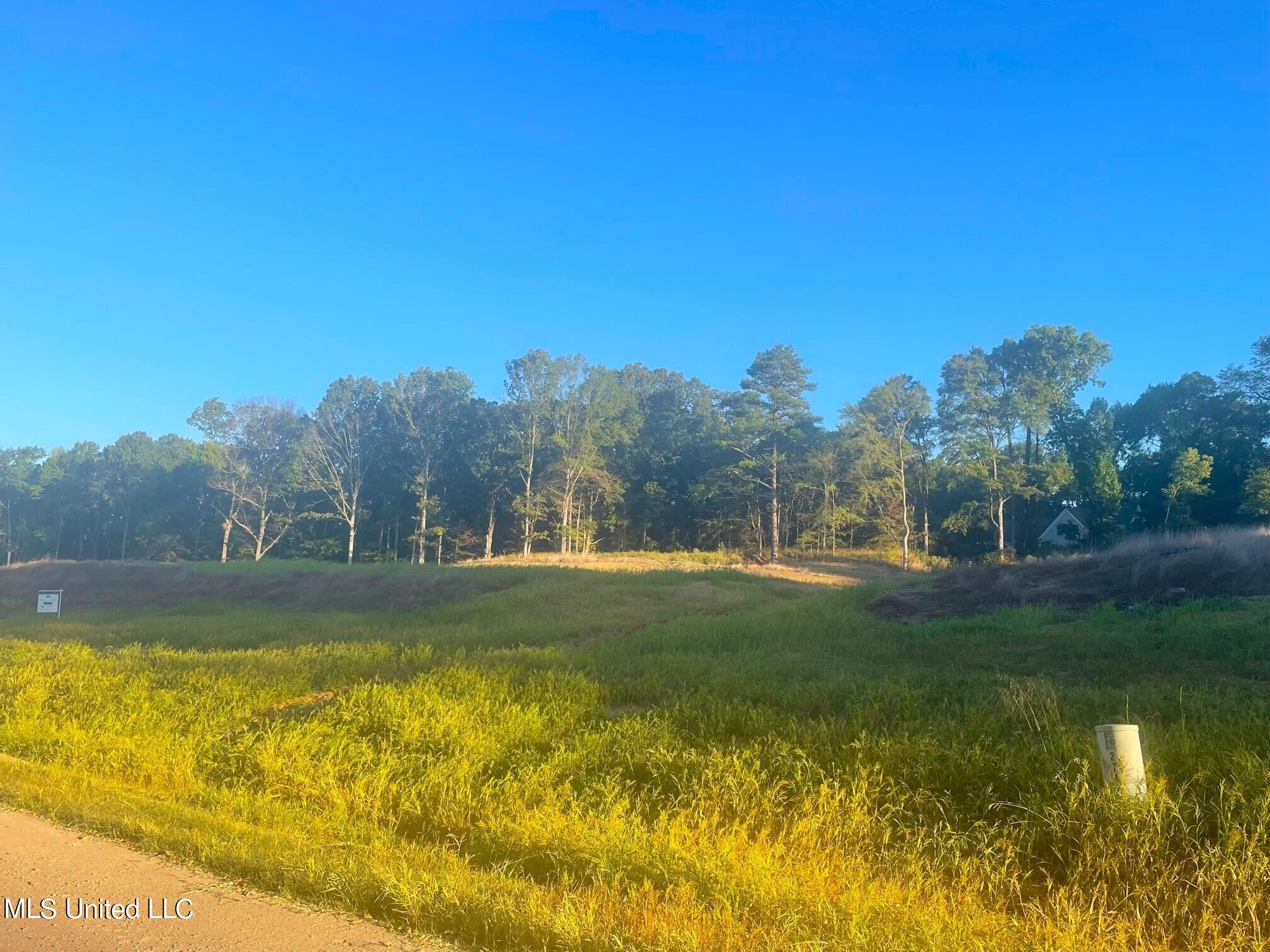 7 Plank Road Property Photo 1