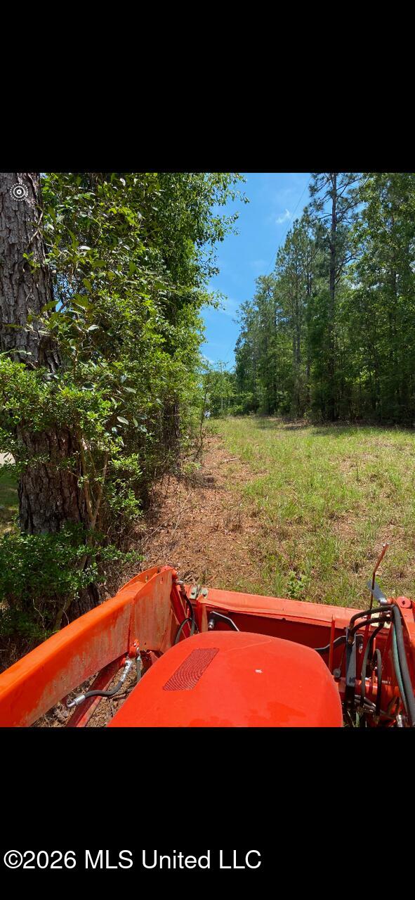 347 E Old Highway 49 Property Photo 3