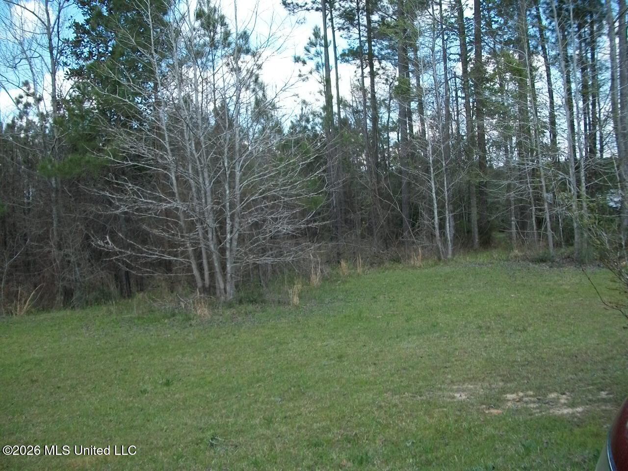 35 Nettles Road Property Photo 21