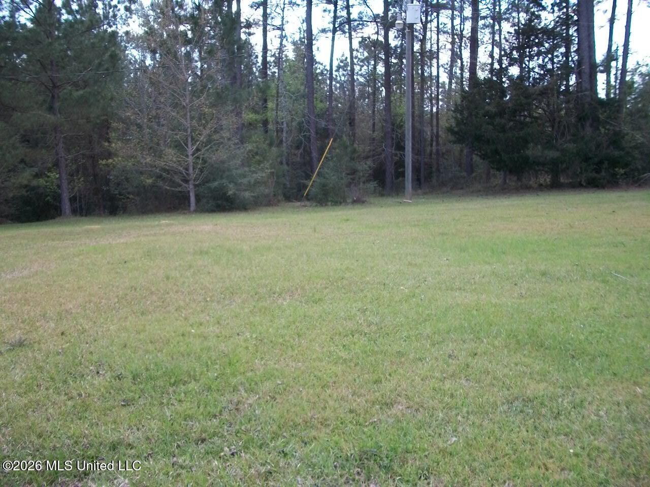 35 Nettles Road Property Photo 24