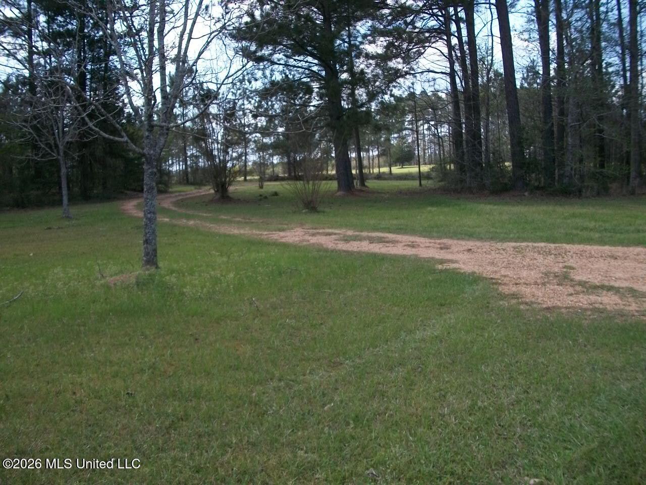 35 Nettles Road Property Photo 25