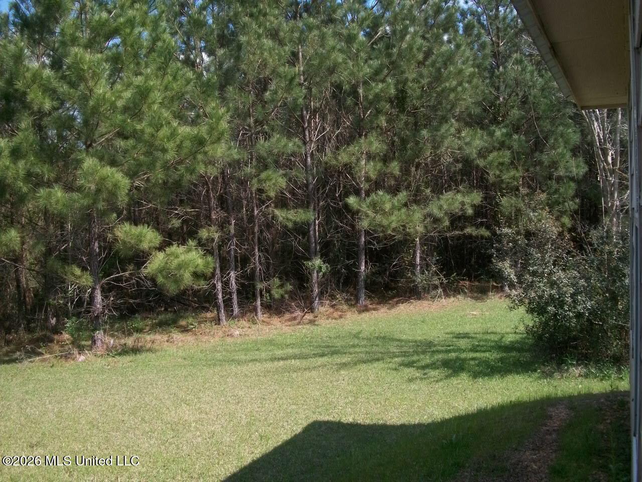 35 Nettles Road Property Photo 26
